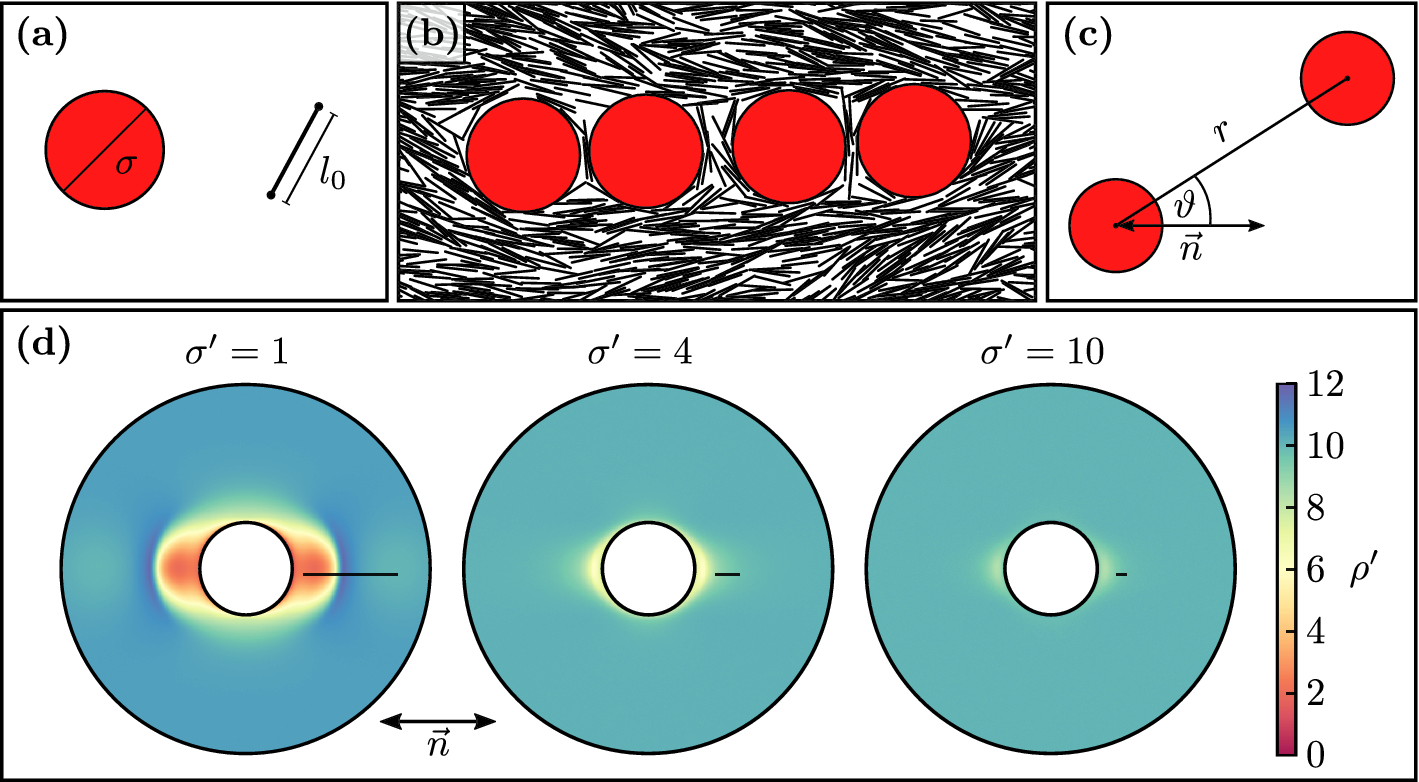 Chaining of hard disks in nematic needles: particle-based simulation of  colloidal interactions in liquid crystals | Scientific Reports