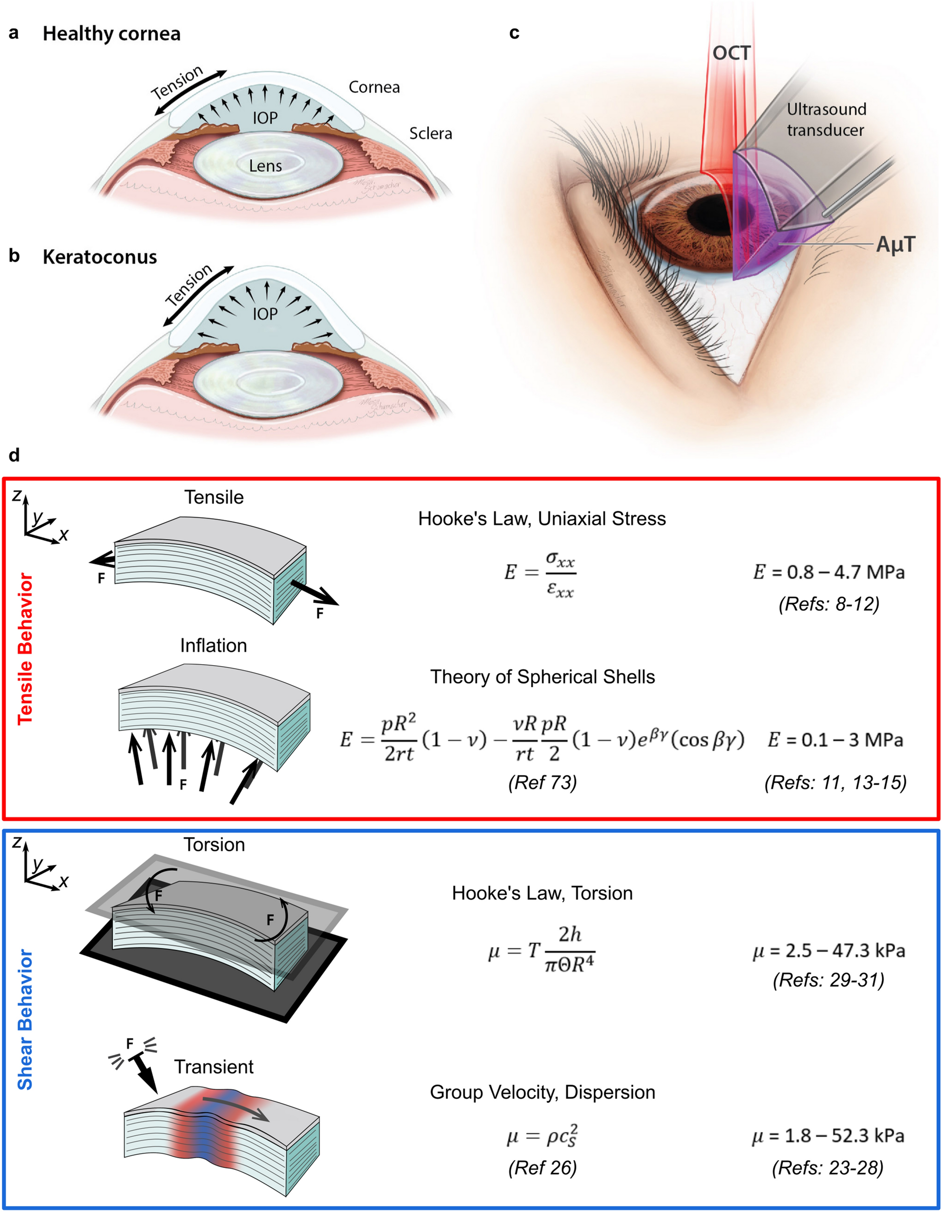 Longitudinal v L , transverse v T , and average ⟨v⟩ velocities