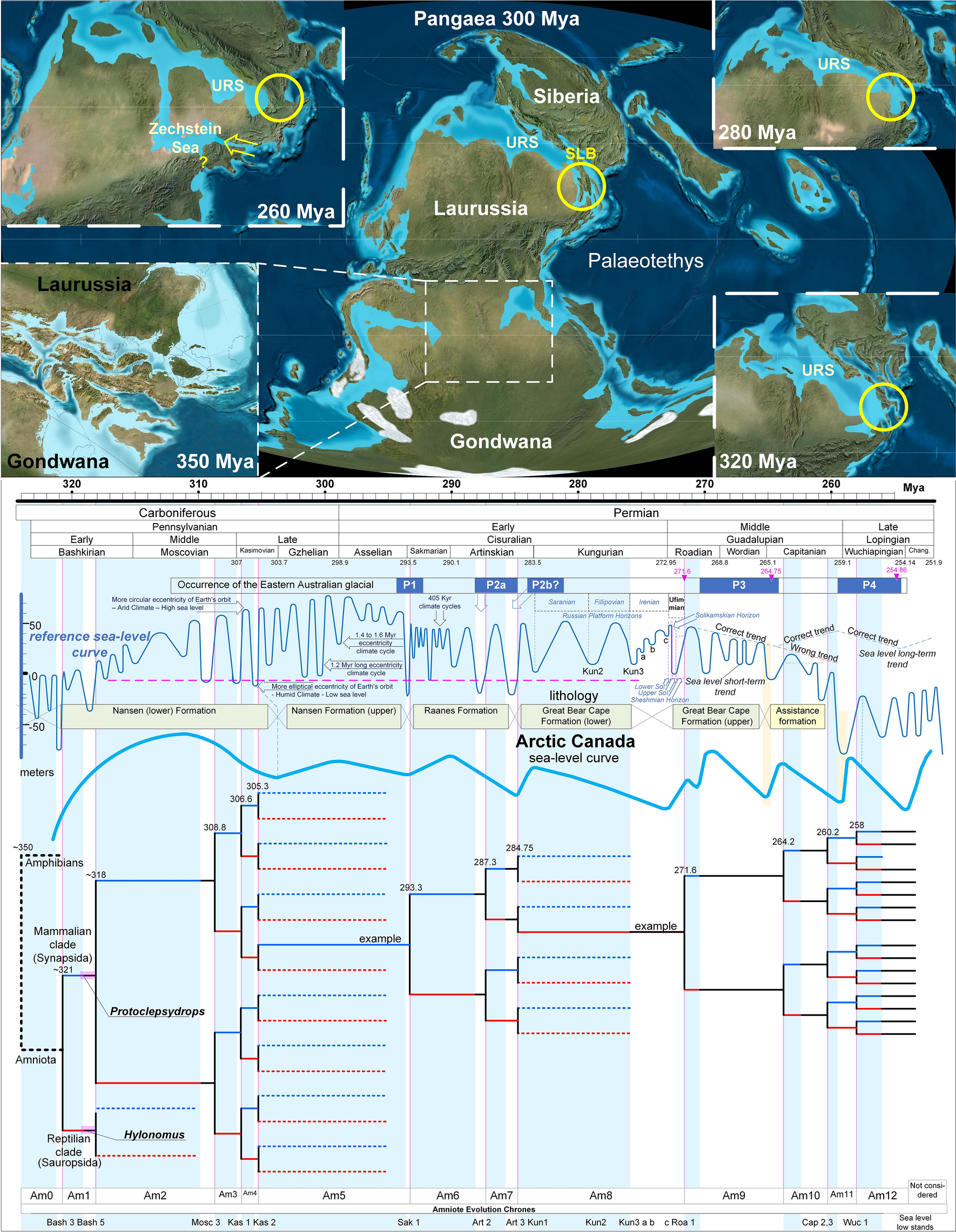 An Early Pangaean Vicariance Model For Synapsid Evolution Scientific Reports