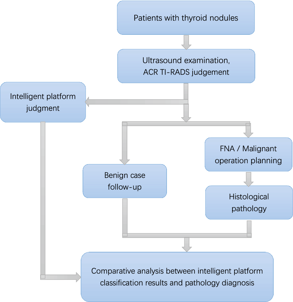 An intelligent platform for ultrasound diagnosis of thyroid nodules | Scientific Reports