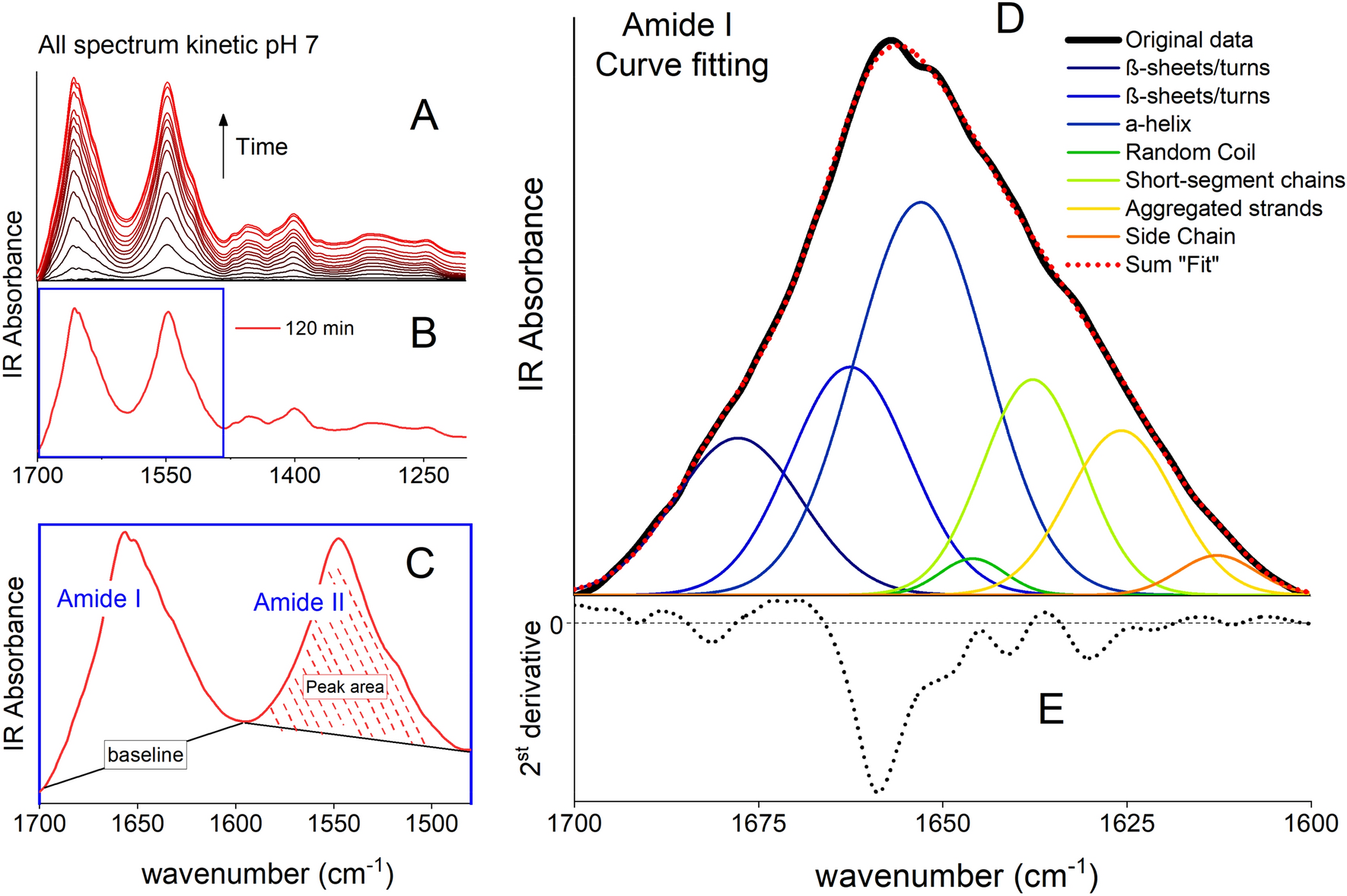 The Molecular Insights Into Protein Adsorption On Hematite Surface Disclosed By In Situ Atr Ftir 2d Cos Study Scientific Reports