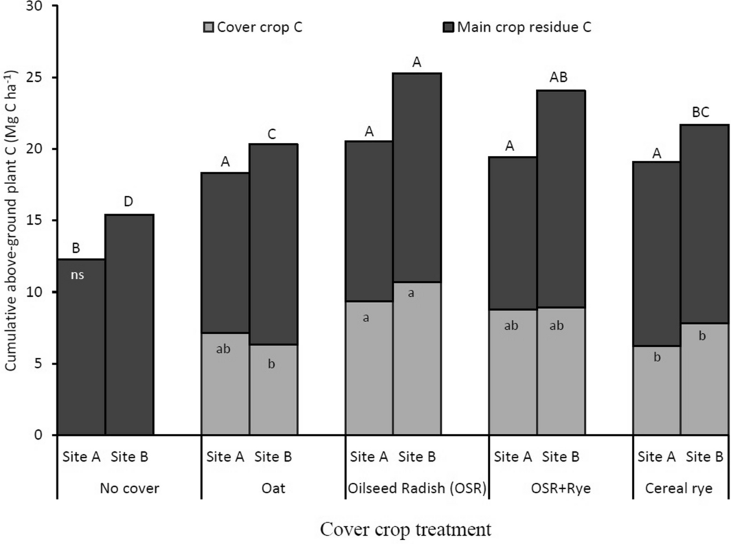 Rhizosphere engineering for soil carbon sequestration: Trends in Plant  Science