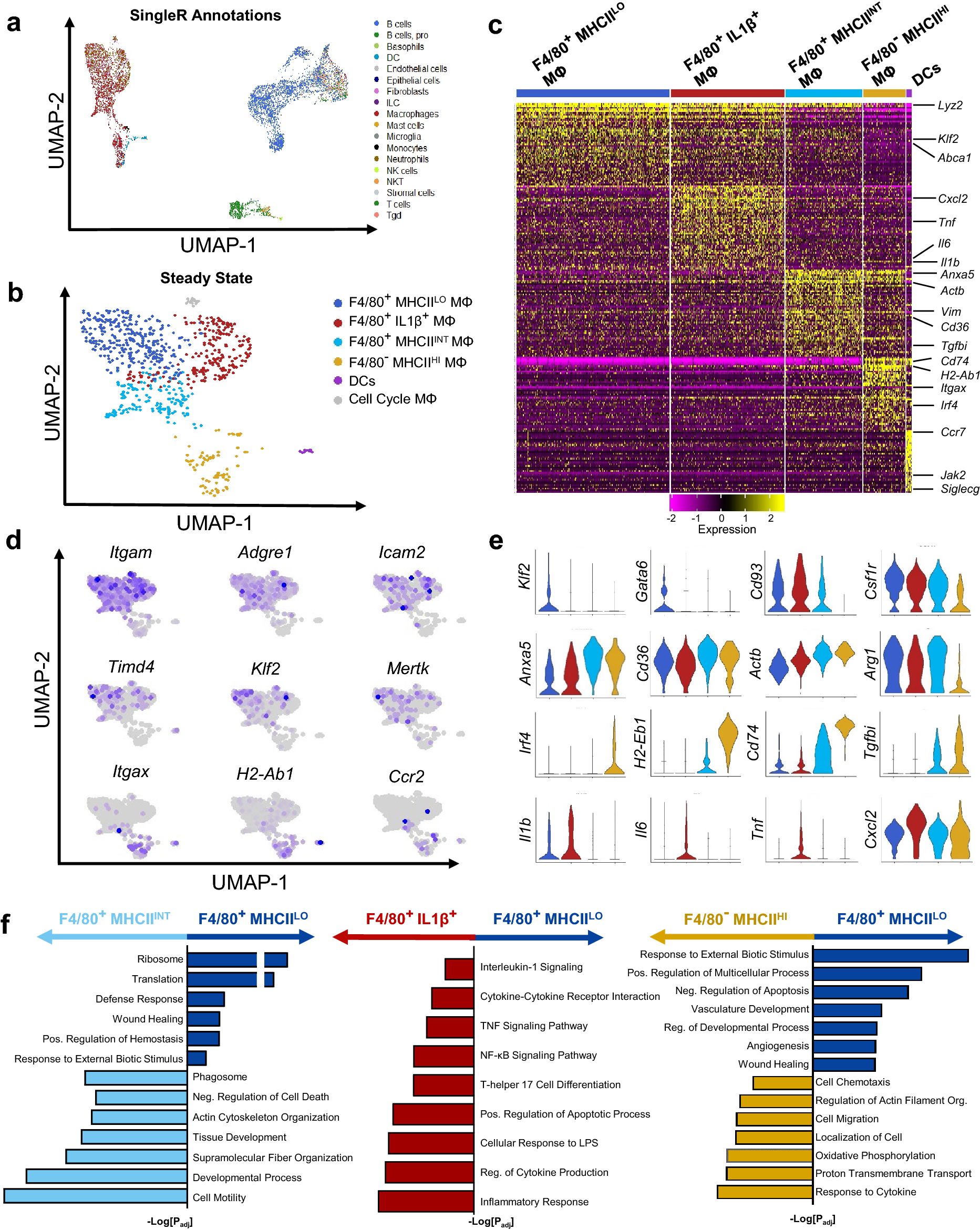 The influence of phytochemicals on cell heterogeneity in chronic