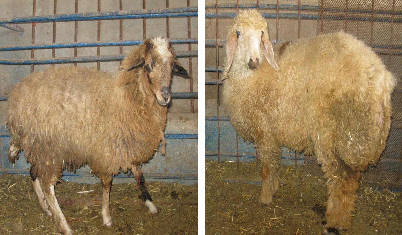 Jefferson County Fair Park • Jefferson, WI, image size:1652x968