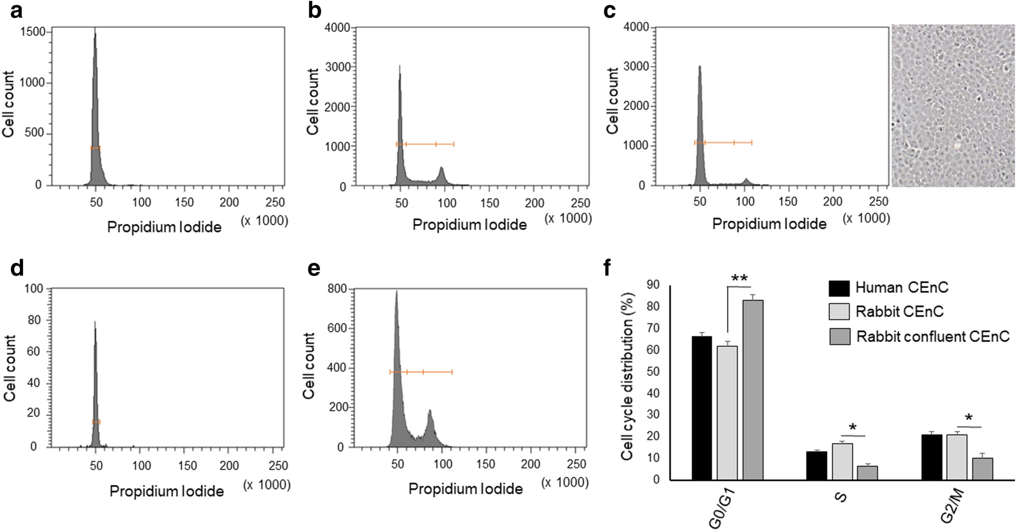 A Fine Tuned B Catenin Regulation During Proliferation Of Corneal Endothelial Cells Revealed Using Proteomics Analysis Scientific Reports