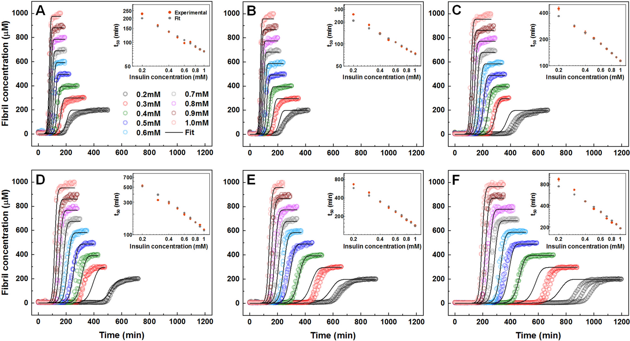 Gallic Acid Oxidation Products Alter The Formation Pathway Of Insulin Amyloid Fibrils Scientific Reports