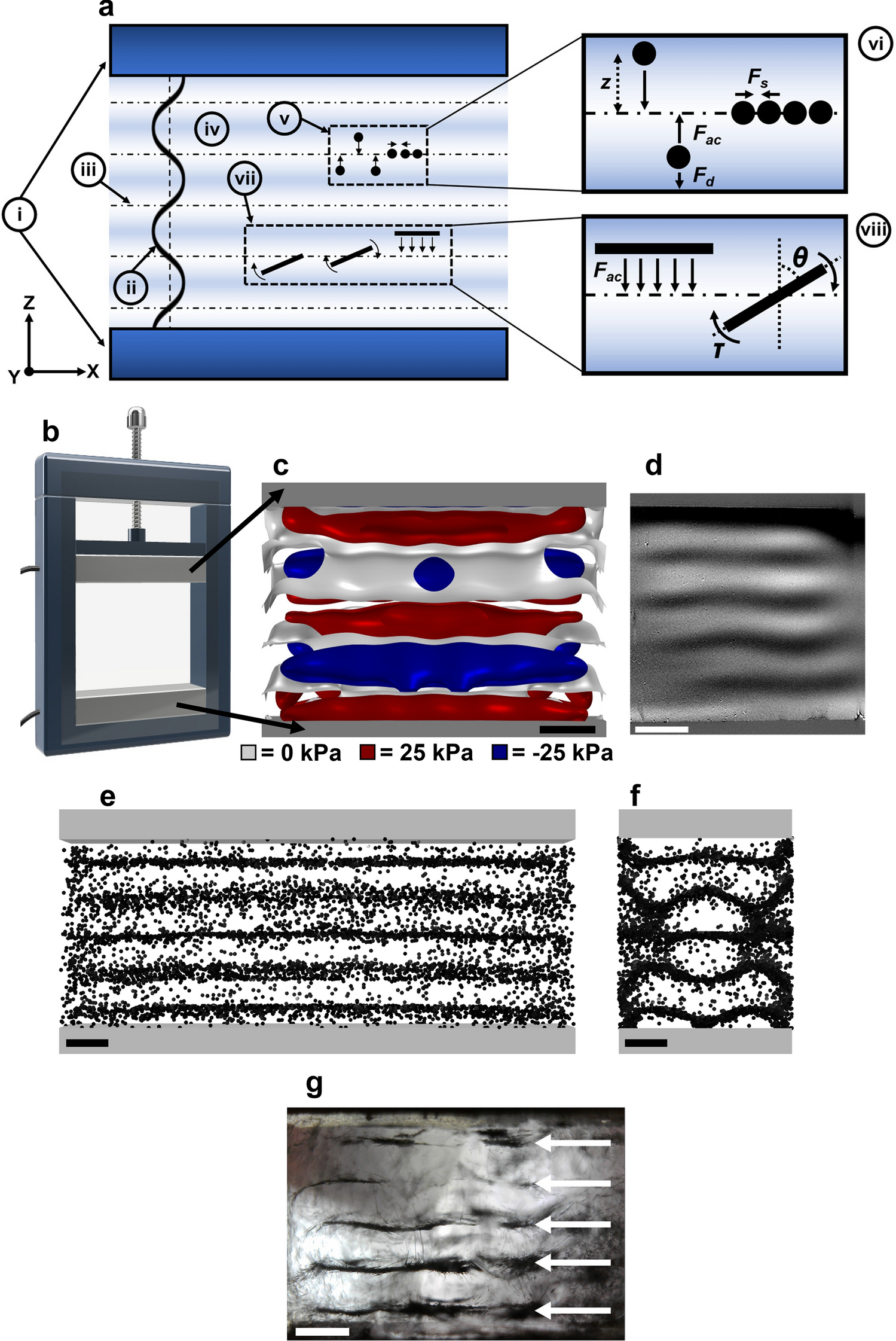 Controlling Oleogel Crystallization Using Ultrasonic Standing Waves Scientific Reports