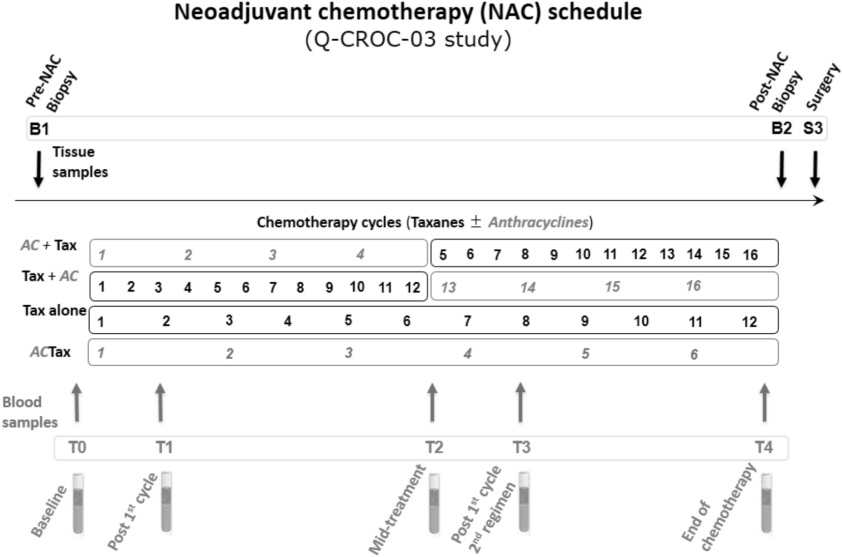 Prognostic And Predictive Value Of Circulating Tumor Dna During Neoadjuvant Chemotherapy For Triple Negative Breast Cancer Scientific Reports Prognostic And Predictive Value Of Circulating Tumor Dna During Neoadjuvant Chemotherapy For Triple Negative Breast Cancer Scientific Reports