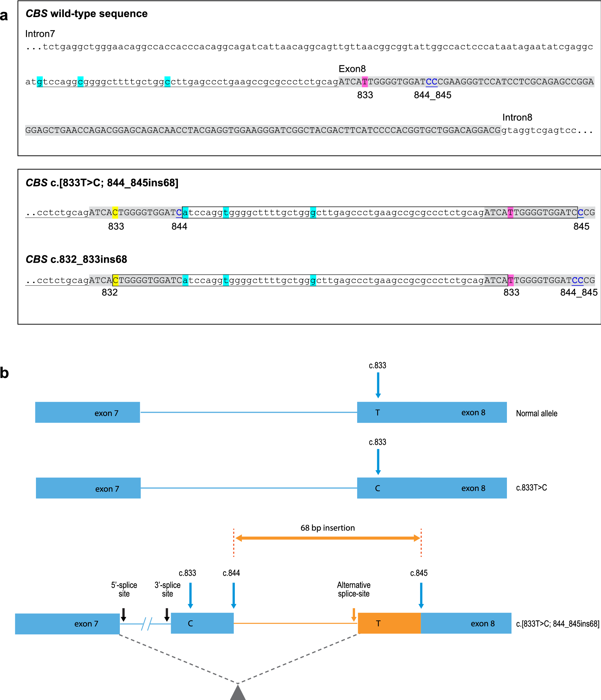 A customized scaffolds approach for the detection and phasing of complex  variants by next-generation sequencing | Scientific Reports