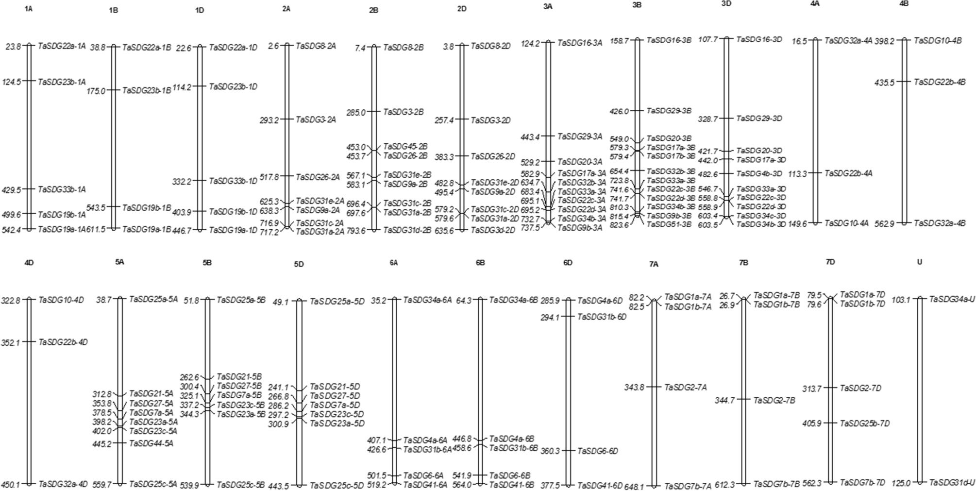 Identification and characterization of SET domain family genes in bread  wheat (Triticum aestivum L.) | Scientific Reports