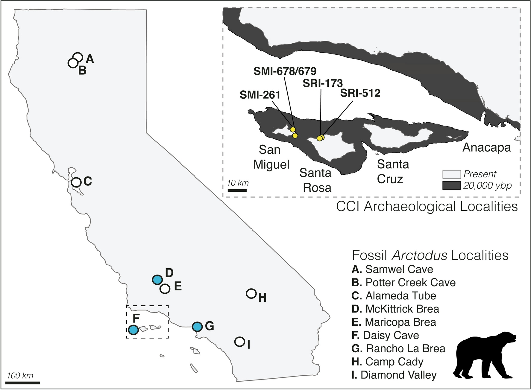 Biogeographic problem-solving reveals the Late Pleistocene translocation of  a short-faced bear to the California Channel Islands | Scientific Reports