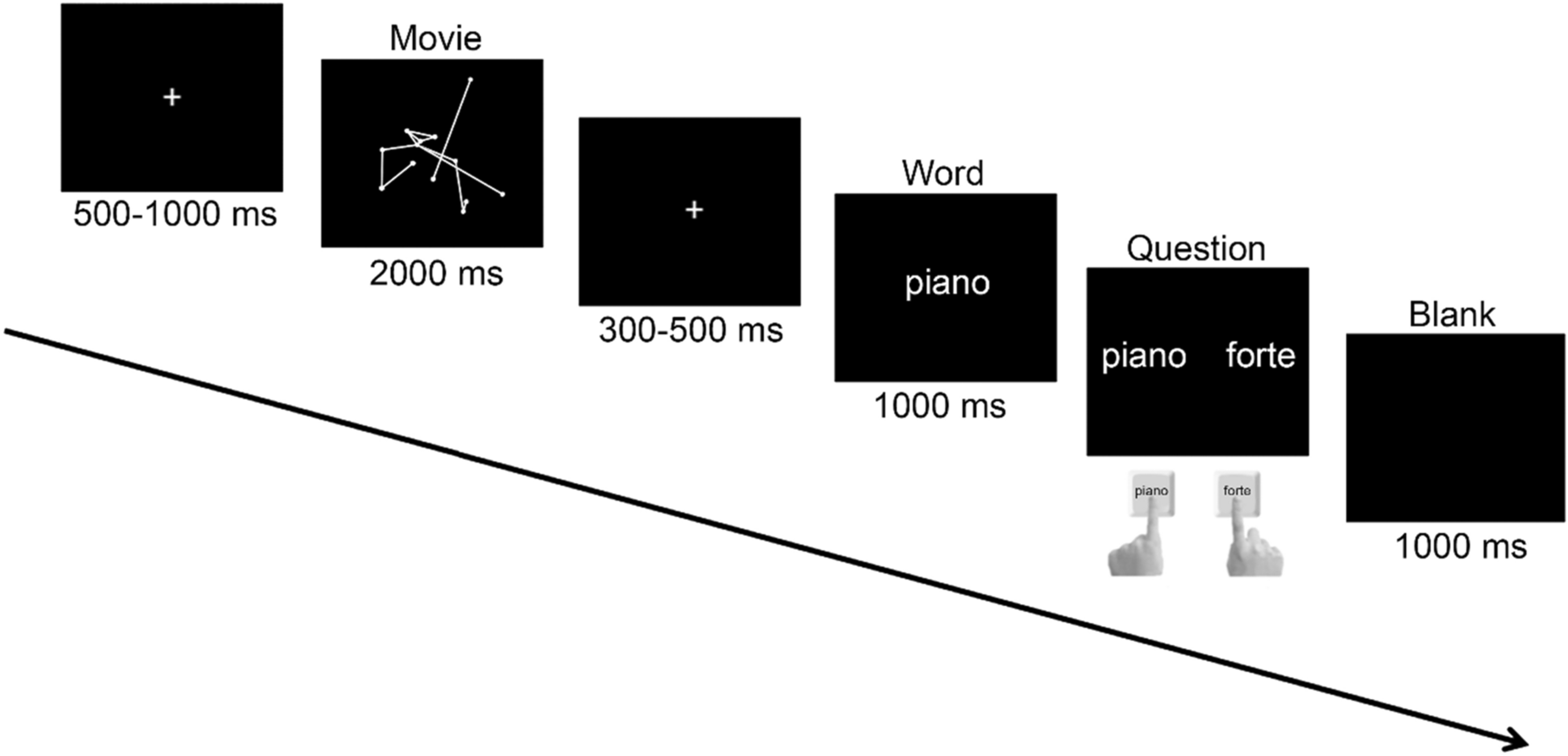 Language Is The Missing Link In Action Perception Coupling An Eeg Study Scientific Reports