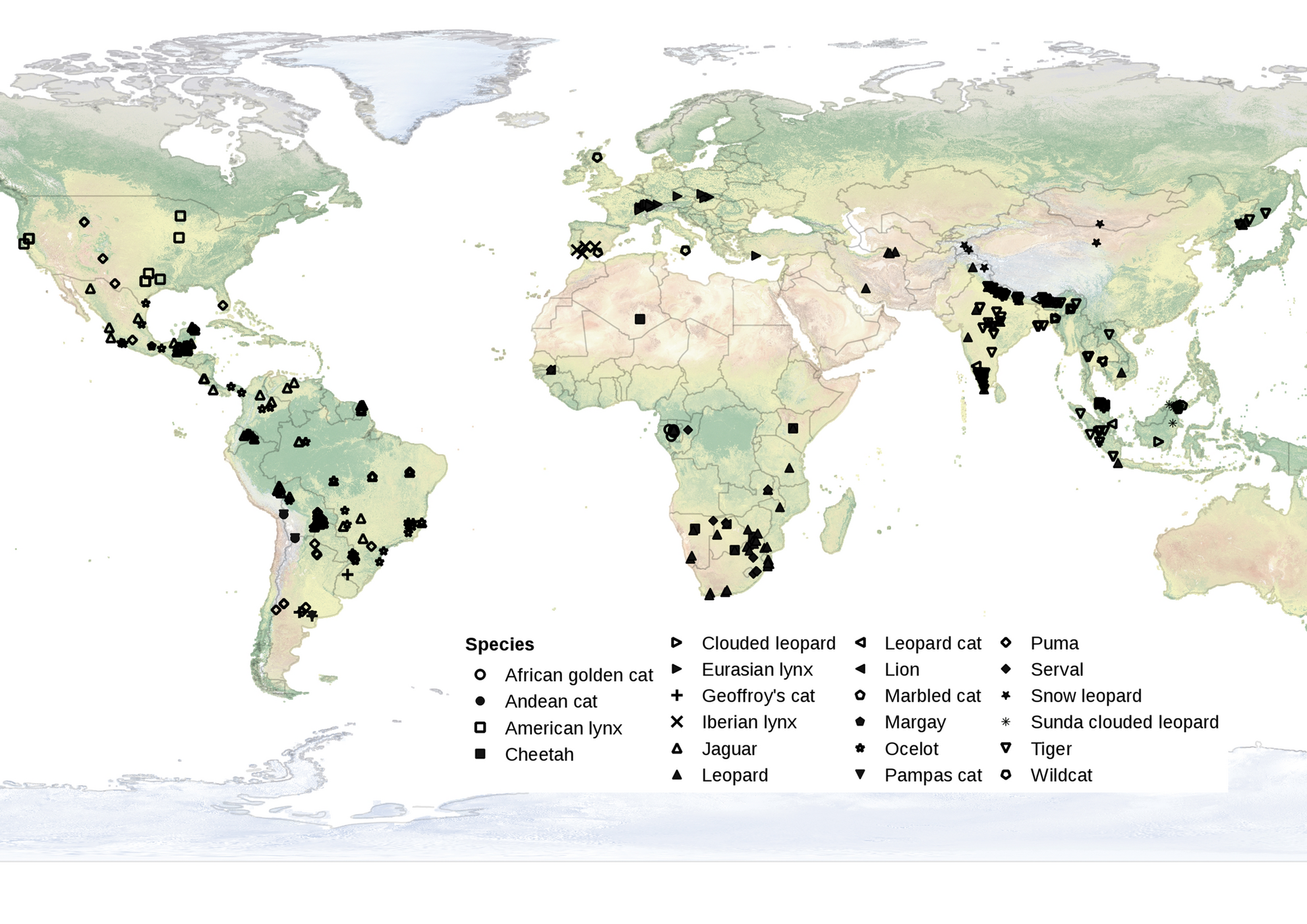 Spatial Variance Mass Allometry Of Population Density In Felids From Camera Trapping Studies Worldwide Scientific Reports