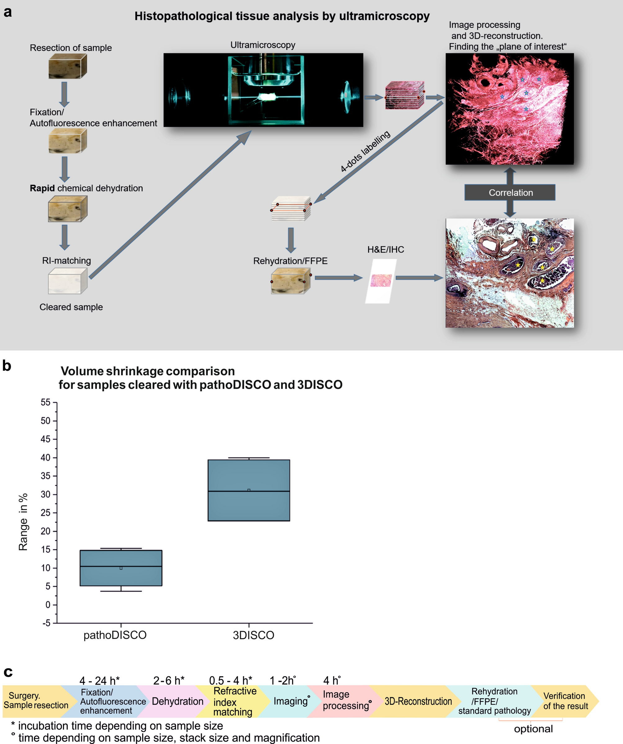 3D histopathology of human tumours by fast clearing and ultramicroscopy |  Scientific Reports