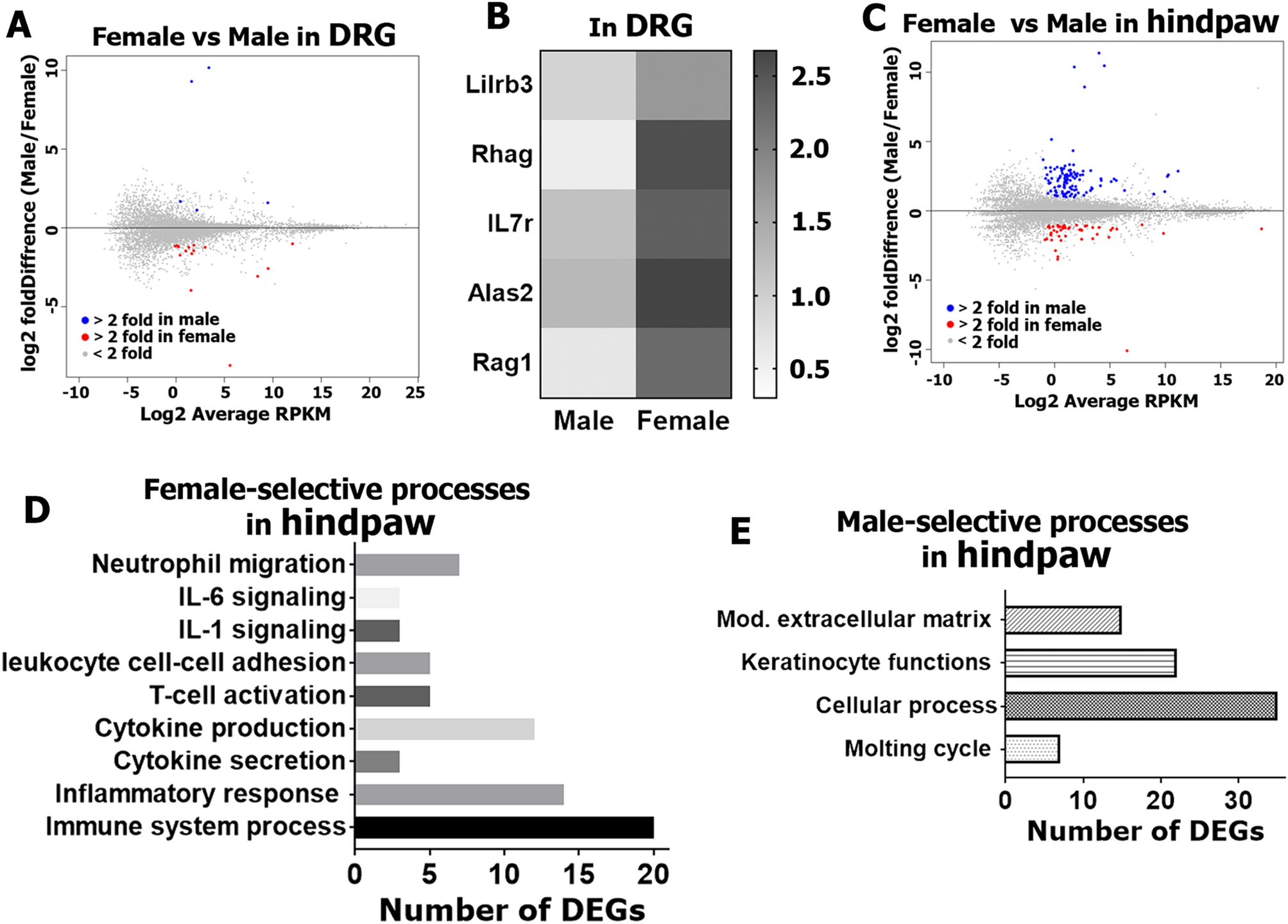 Transcriptomic sex differences in sensory neuronal populations of mice Scientific Reports photo