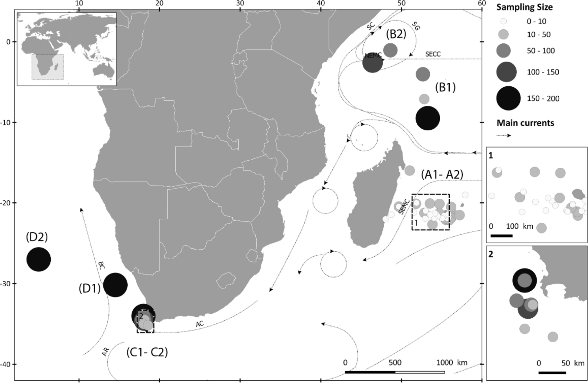Connectivity and population structure of albacore tuna across southeast Atlantic and southwest Indian Oceans inferred from multidisciplinary methodology Scientific Reports