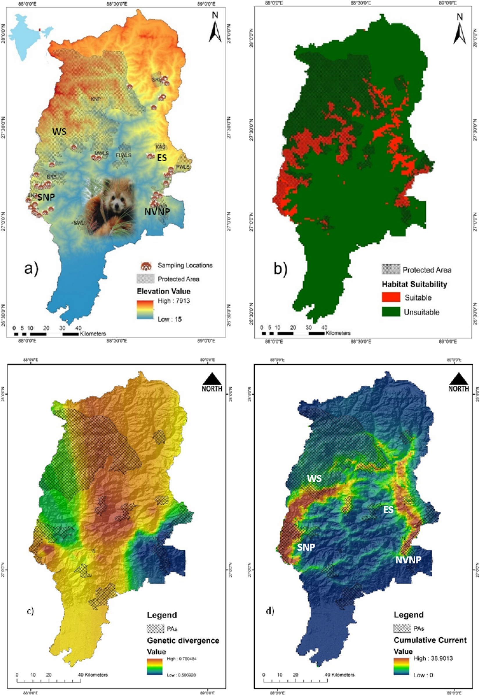 Fine-scale landscape genetics unveiling contemporary asymmetric movement of  red panda (Ailurus fulgens) in Kangchenjunga landscape, India | Scientific  Reports