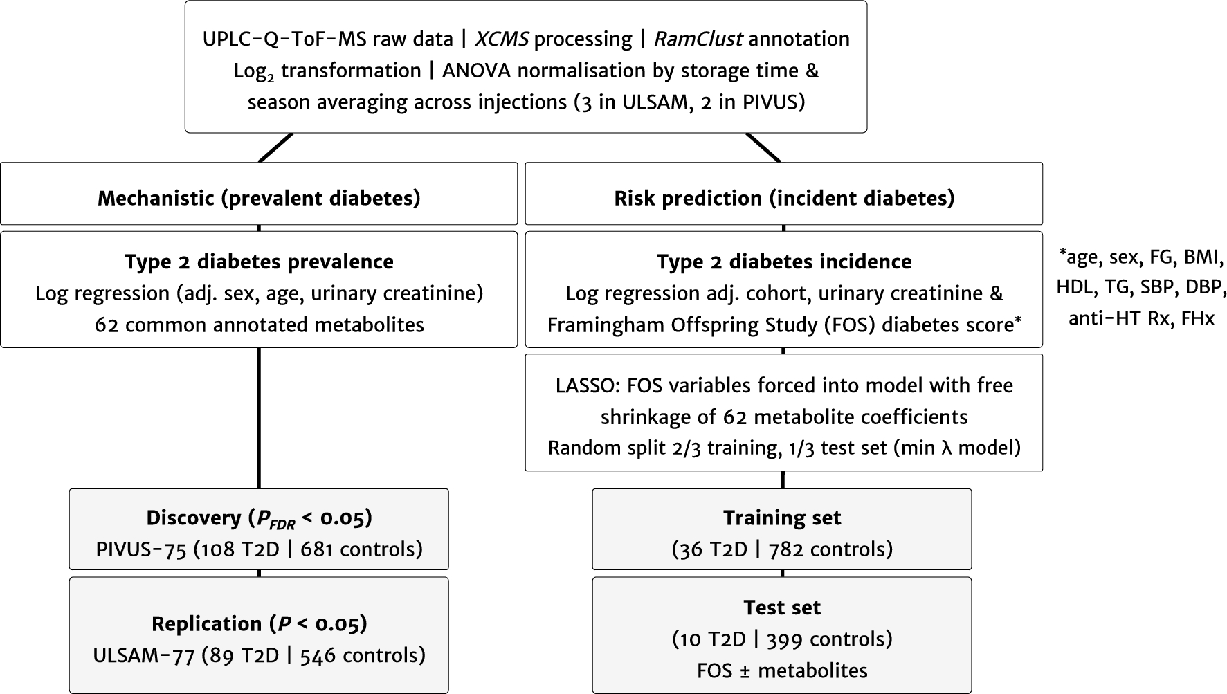 Non Targeted Urine Metabolomics And Associations With Prevalent And Incident Type 2 Diabetes Scientific Reports