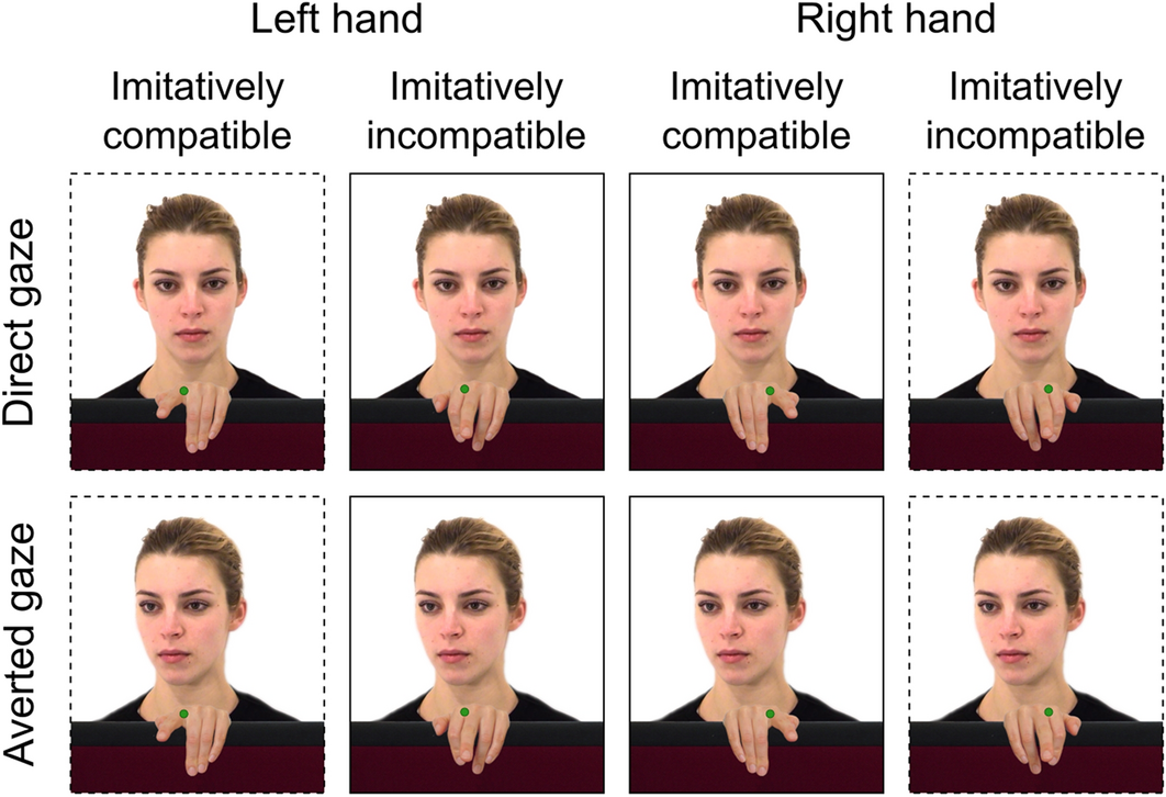 No evidence that gaze anxiety predicts gaze avoidance behavior