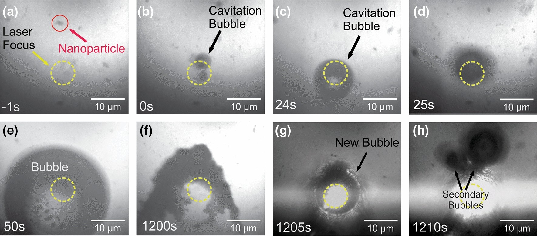 Multi-pulse laser-induced bubble formation and nanoparticle aggregation  using MoS2 nanoparticles | Scientific Reports