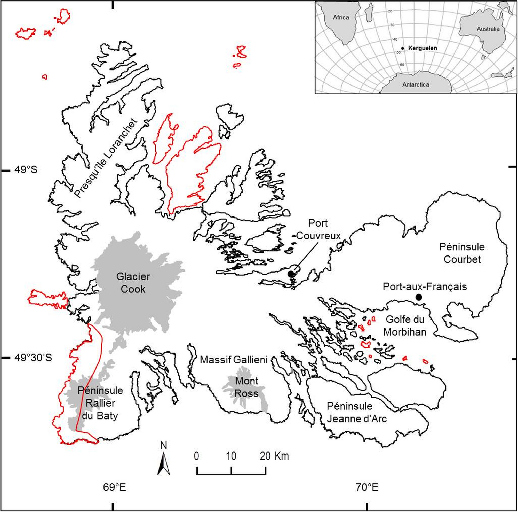 Spotlight On The Invasion Of A Carabid Beetle On An Oceanic Island Over A 105 Year Period Scientific Reports