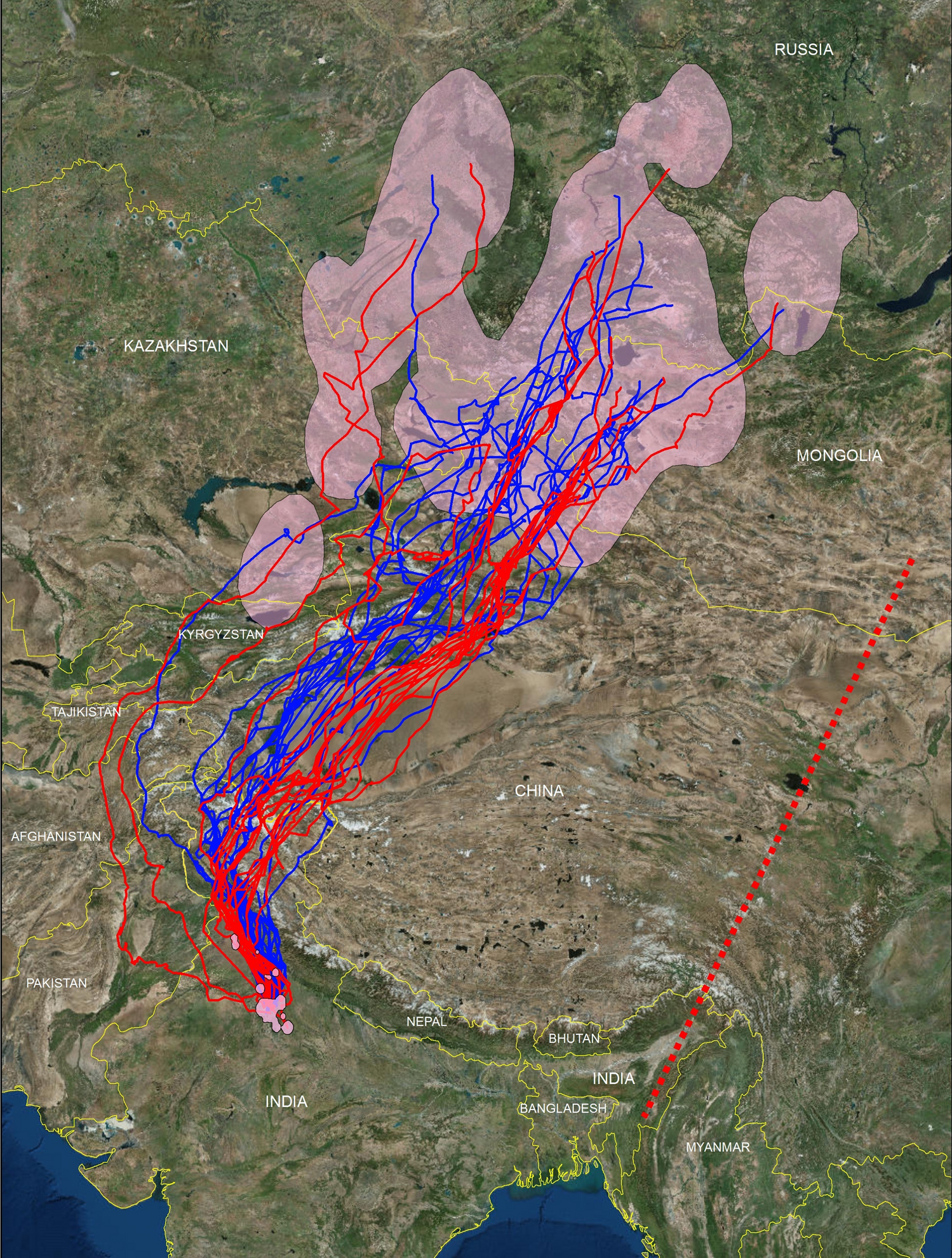 Gps Telemetry Unveils The Regular High Elevation Crossing Of The Himalayas By A Migratory Raptor Implications For Definition Of A Central Asian Flyway Scientific Reports