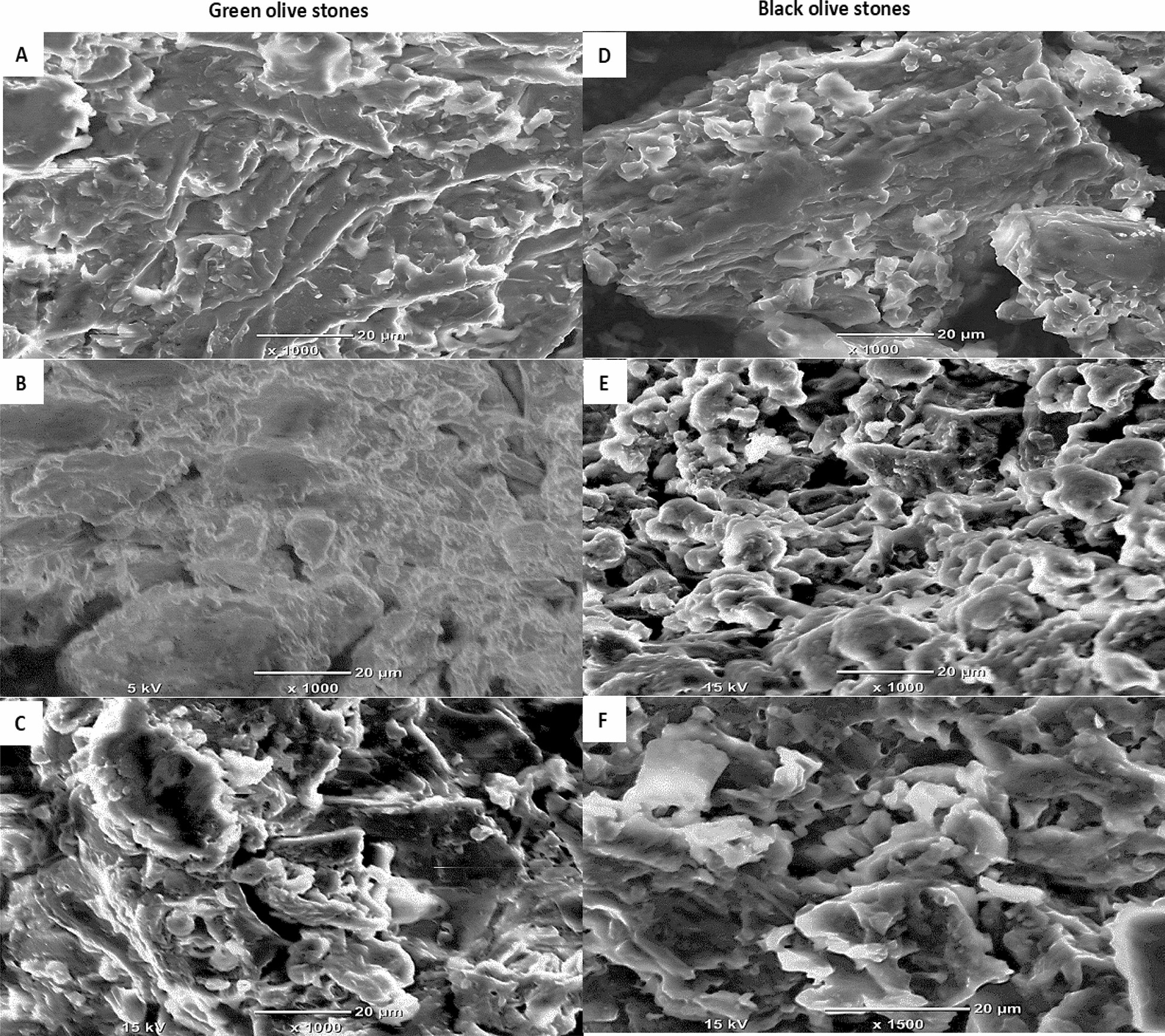 Mechanistic understanding of the adsorption and thermodynamic aspects of cationic methylene blue dye onto cellulosic olive stones biomass from wastewater Reports