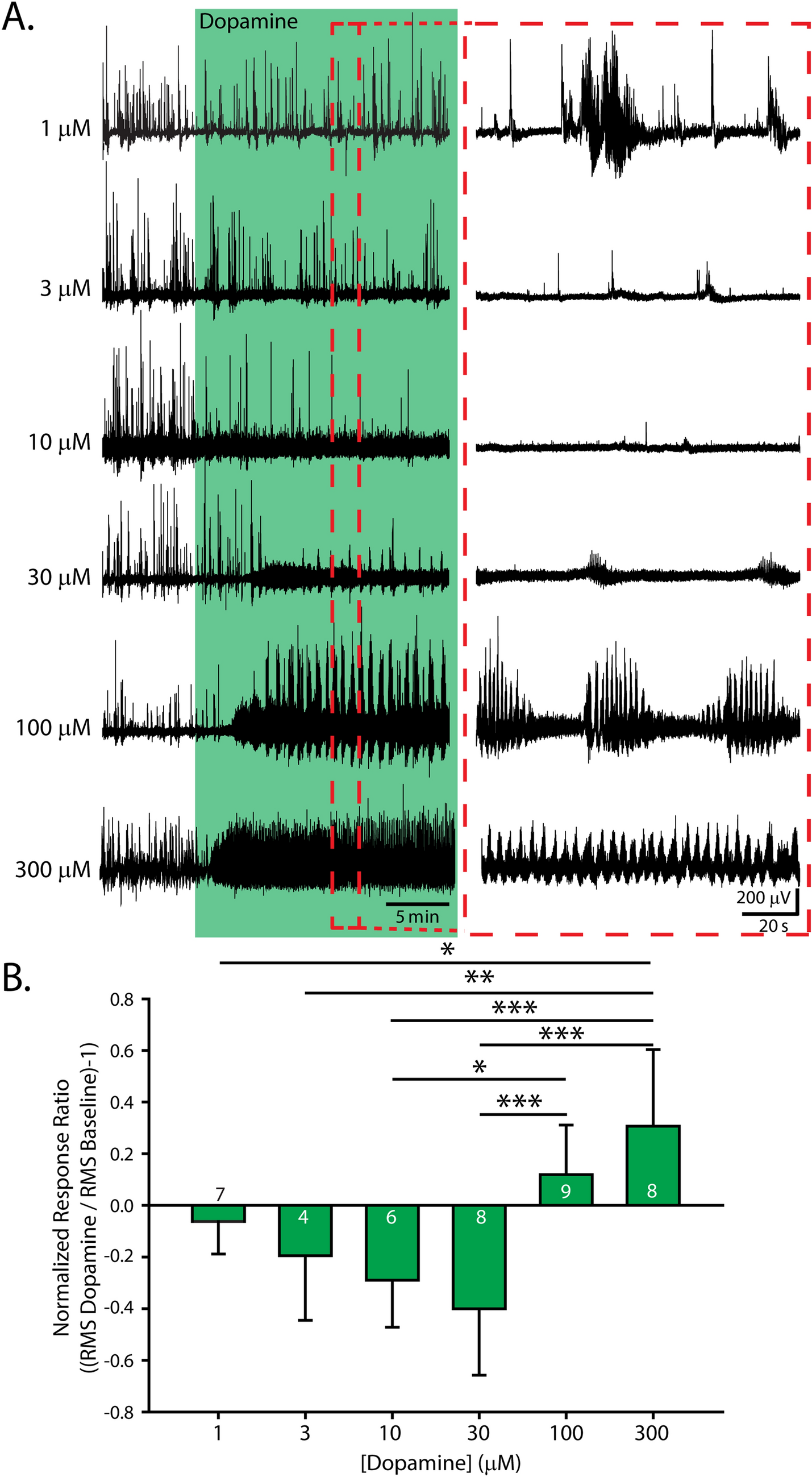A Dynamic Role For Dopamine Receptors In The Control Of Mammalian Spinal Networks Scientific Reports A Dynamic Role For Dopamine Receptors In The Control Of Mammalian Spinal Networks Scientific Reports