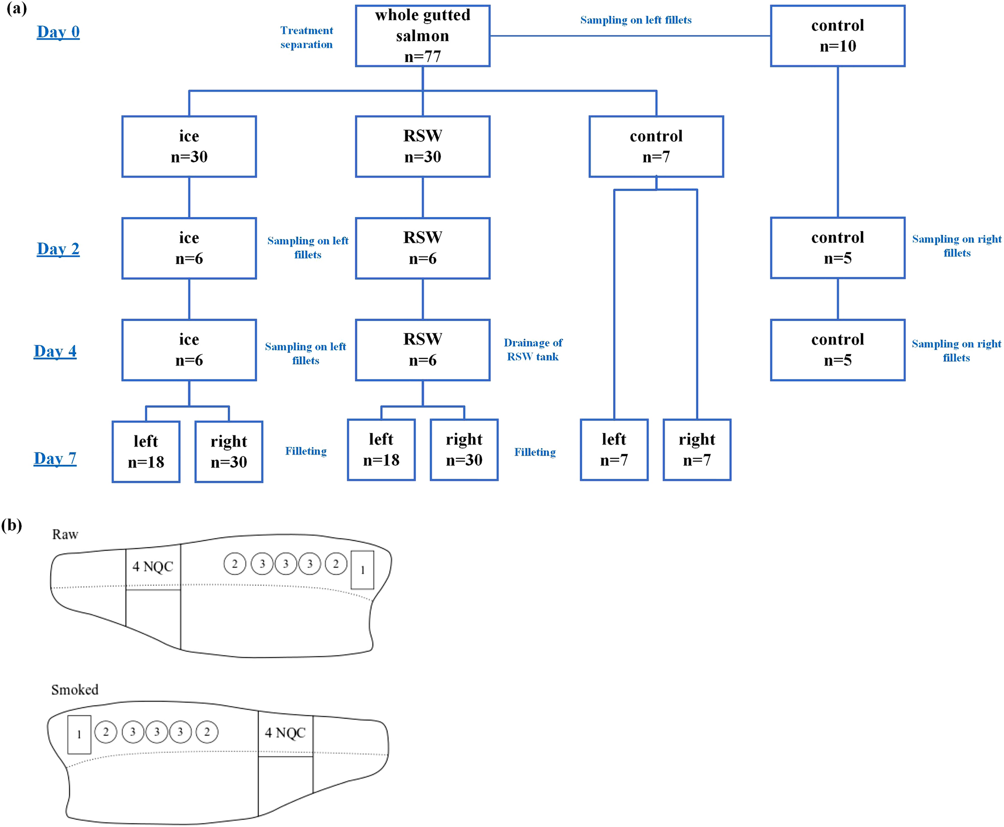 A Comparative Study Of Atlantic Salmon Chilled In Refrigerated Seawater Versus On Ice From Whole Fish To Cold Smoked Fillets Scientific Reports