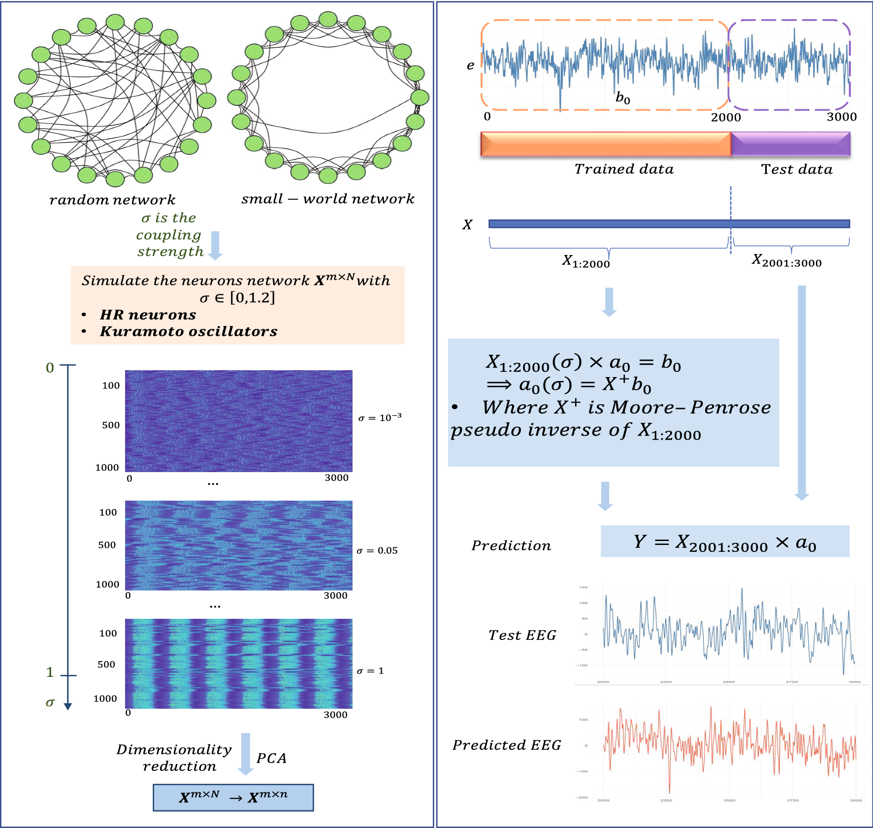 Collective Almost Synchronization Based Model To Extract And Predict Features Of Eeg Signals Scientific Reports