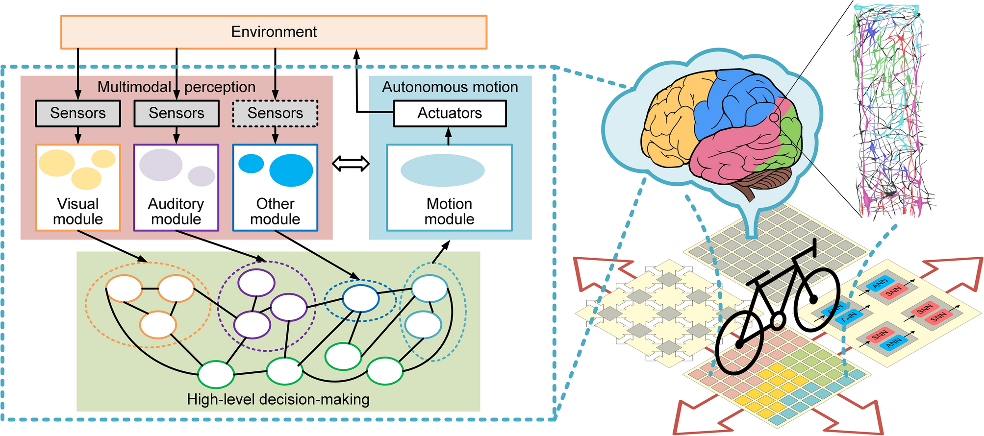 A hybrid and scalable brain-inspired robotic platform | Scientific Reports