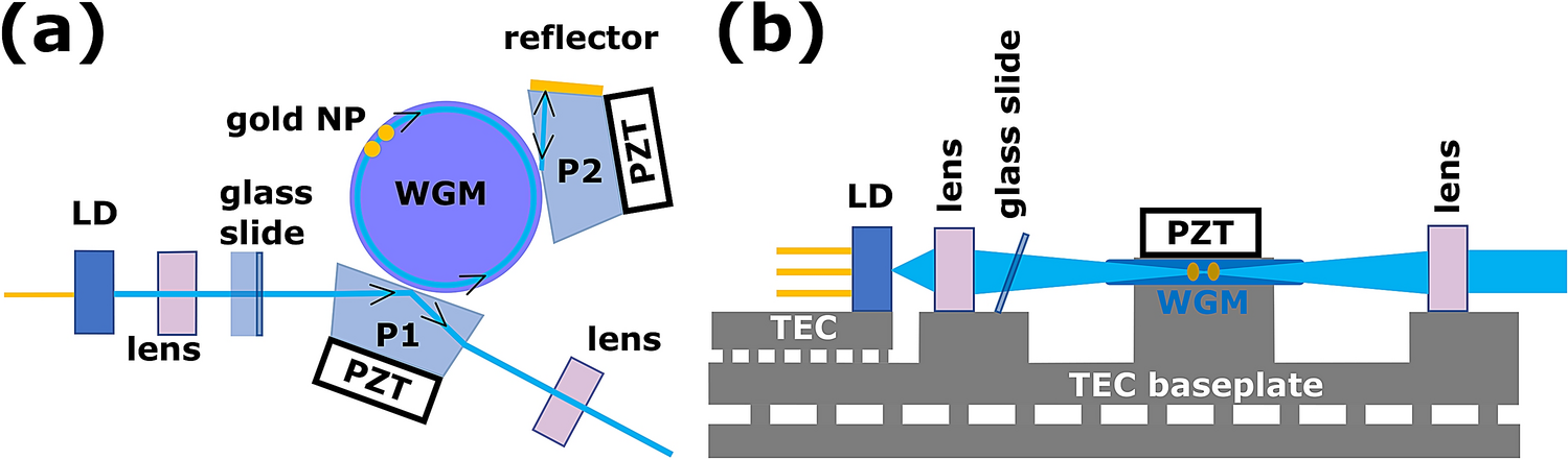 Application of a self-injection locked cyan laser for Barium ion cooling  and spectroscopy | Scientific Reports