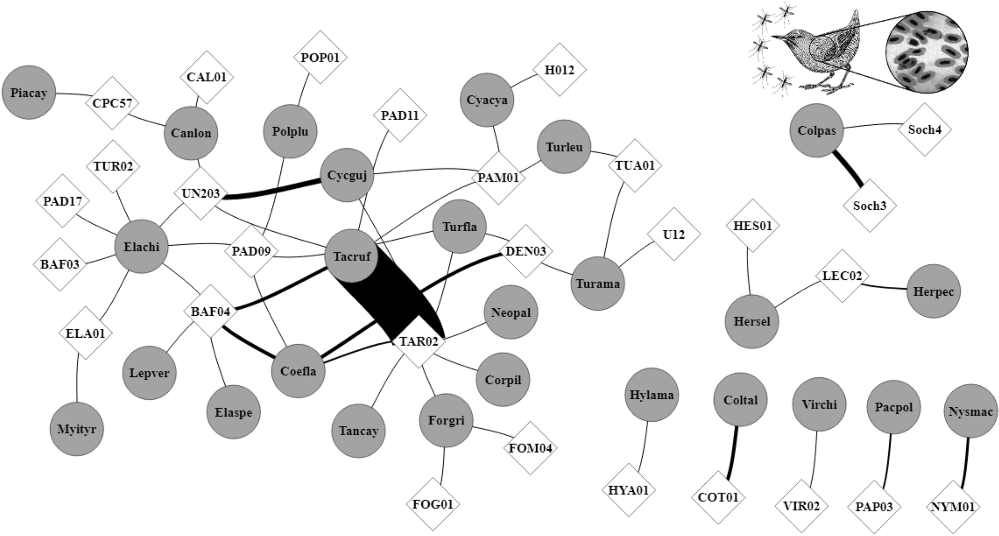 High Fidelity Defines The Temporal Consistency Of Host Parasite Interactions In A Tropical Coastal Ecosystem Scientific Reports