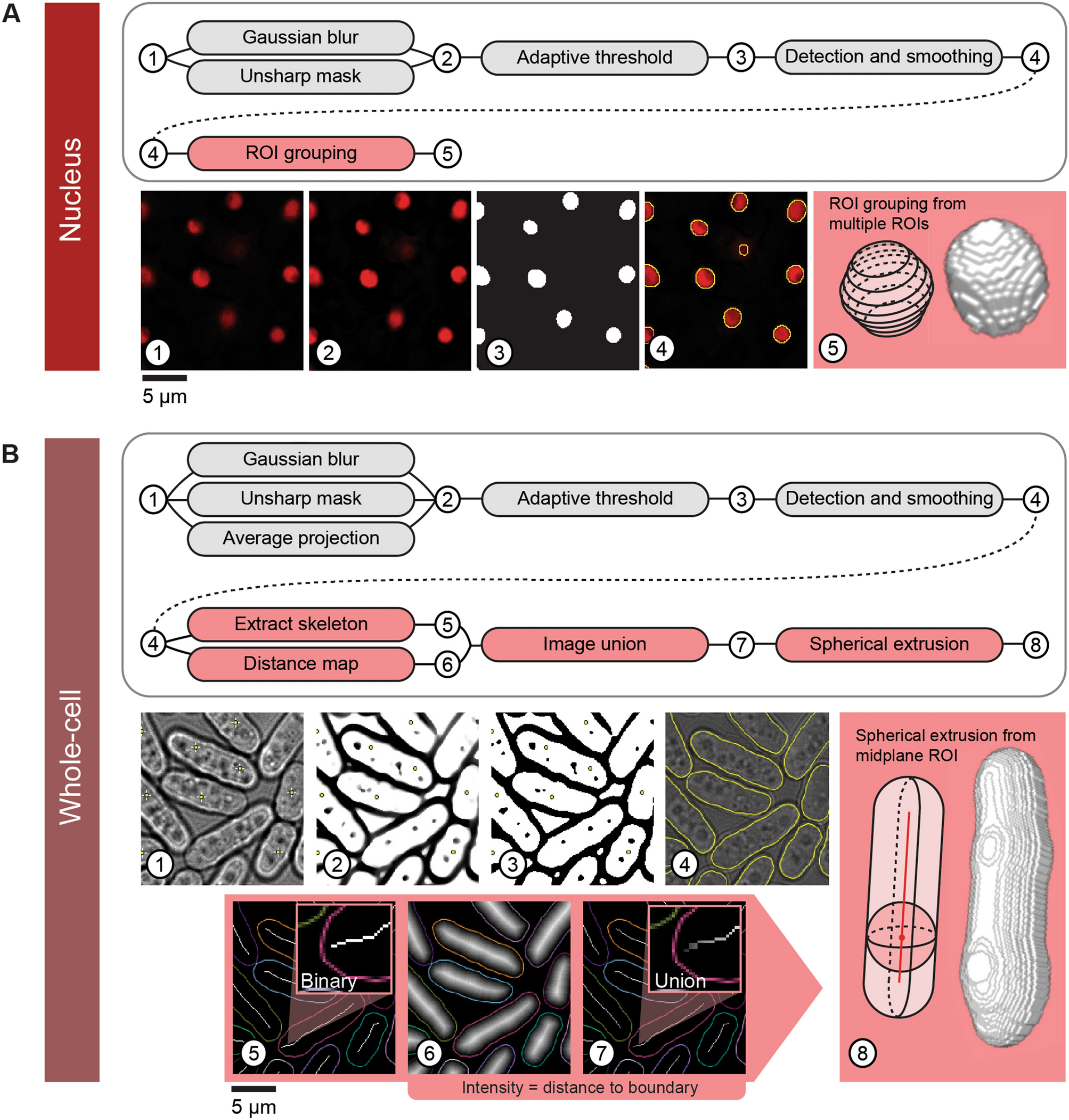 install weka segmentation tool imagej install weka segmentation tool imagej
