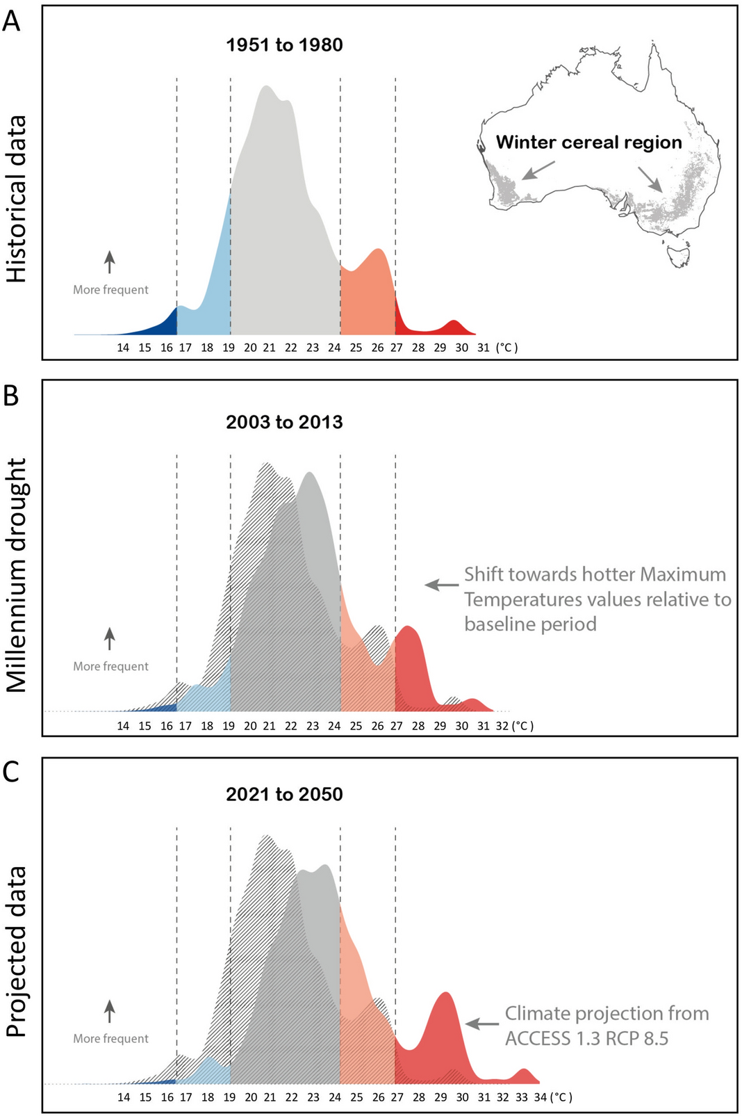 evaluation of the impact of heat on wheat dormancy late maturity a amylase and grain size under controlled conditions in diverse germplasm scientific reports
