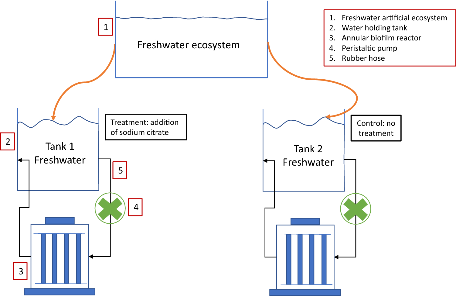 Effects of sodium citrate on the structure and microbial community  composition of an early-stage multispecies biofilm model | Scientific  Reports