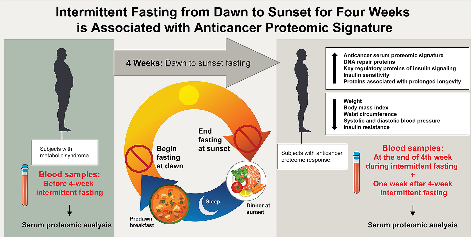 Intermittent fasting from dawn to sunset for four consecutive weeks induces  anticancer serum proteome response and improves metabolic syndrome |  Scientific Reports