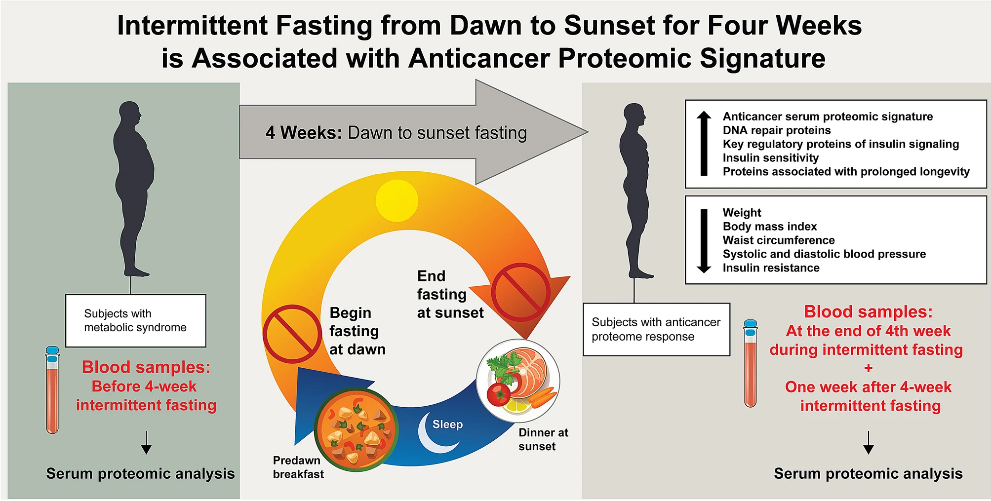 Intermittent fasting from dawn to sunset for four consecutive weeks induces anticancer serum proteome response and improves metabolic syndrome