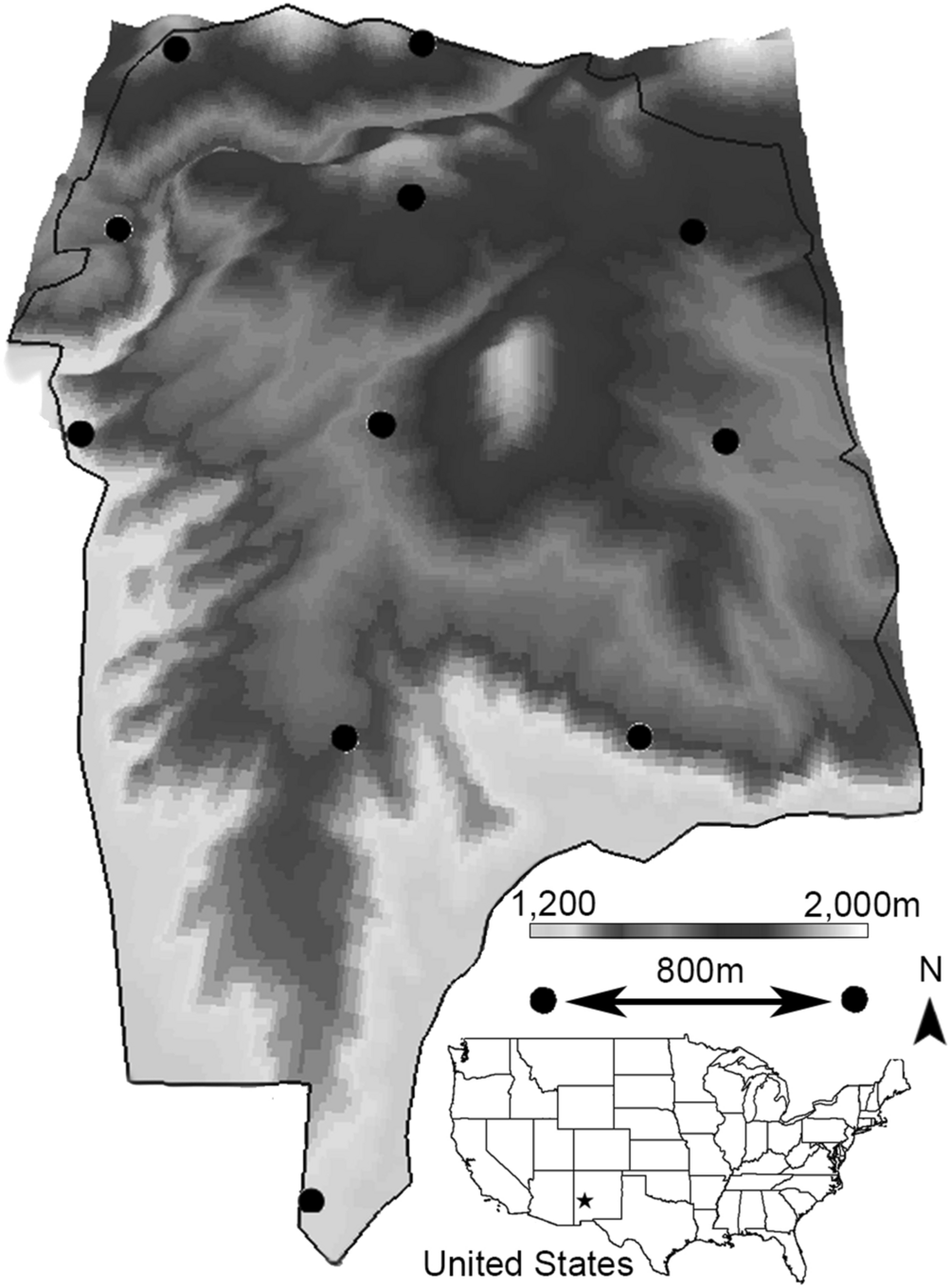 Accurate population estimation of Caprinae using camera traps and distance  sampling | Scientific Reports