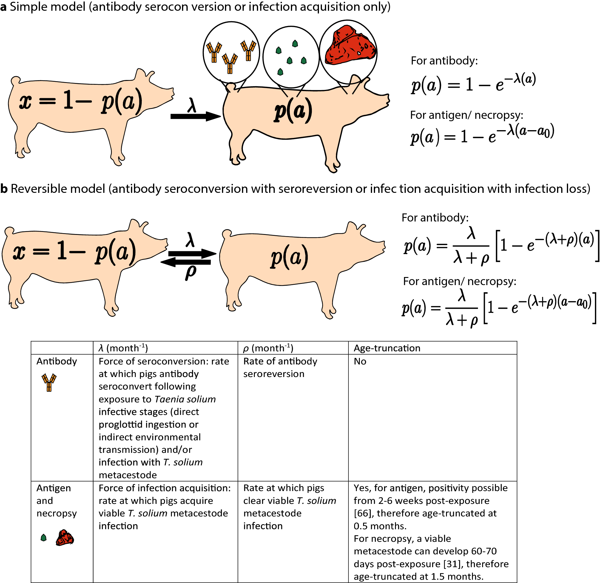 Force Of Infection Of Taenia Solium Porcine Cysticercosis A Modelling Analysis To Assess Global Incidence And Prevalence Trends Scientific Reports