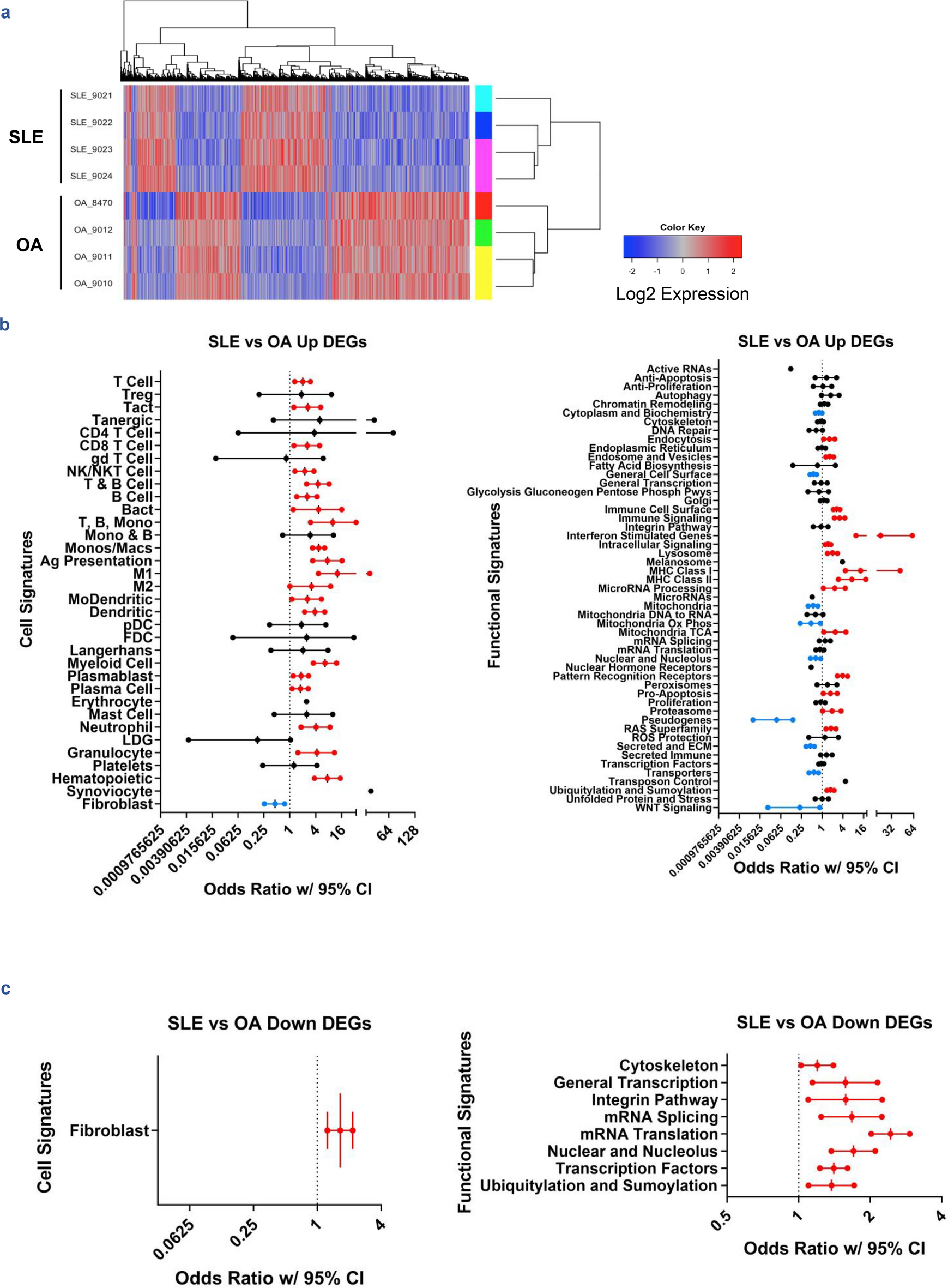 Analysis of gene expression from systemic lupus erythematosus synovium  reveals myeloid cell-driven pathogenesis of lupus arthritis | Scientific  Reports