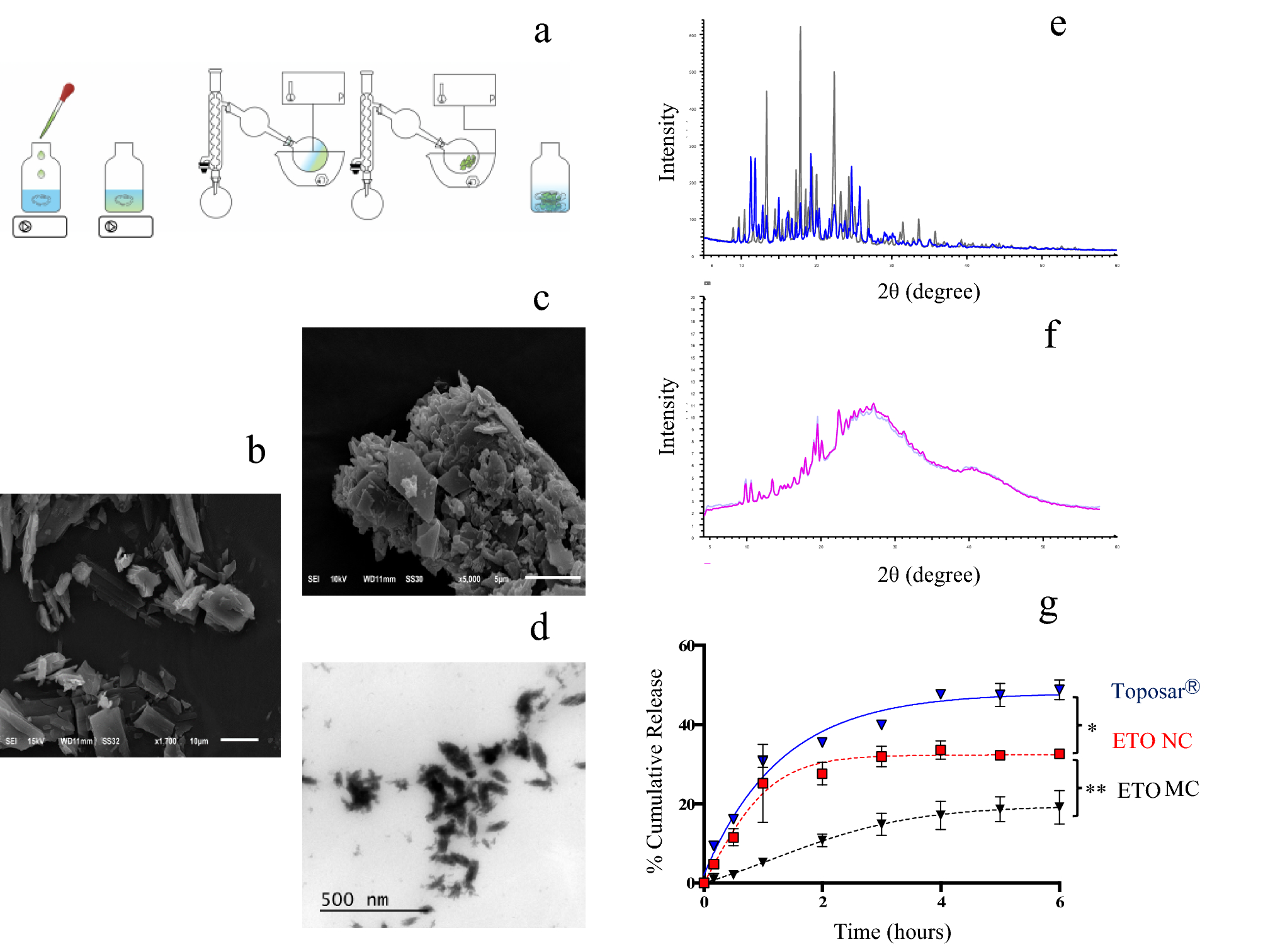 Preparation Of Parenteral Nanocrystal Suspensions Of Etoposide From The Excipient Free Dry State Of The Drug To Enhance In Vivo Antitumoral Properties Scientific Reports