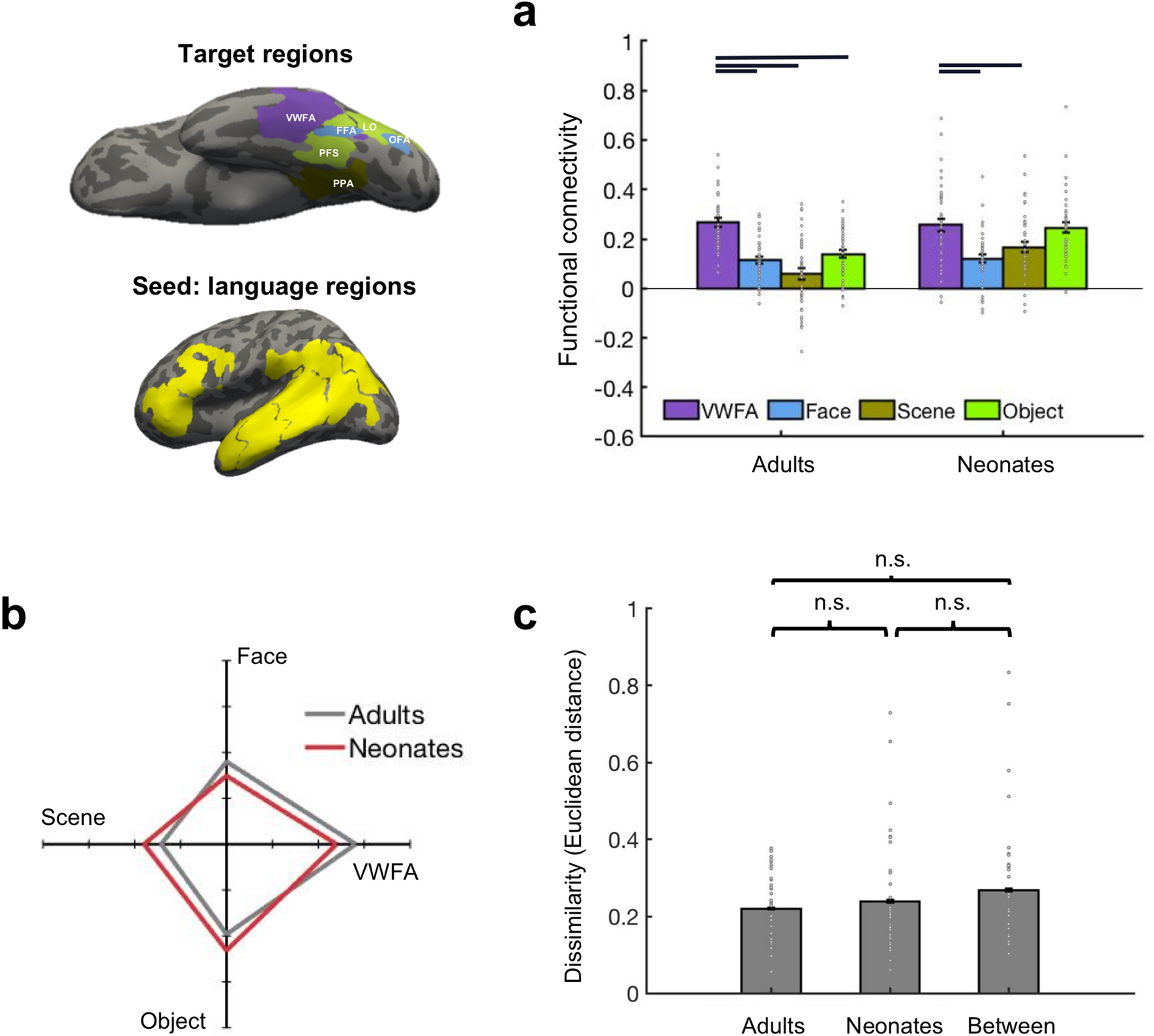 Innate connectivity patterns drive the development of the visual word form  area