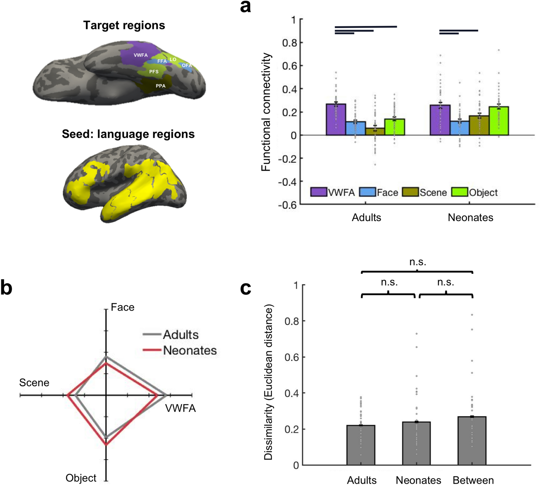 Innate Connectivity Patterns Drive The Development Of The Visual Word Form Area Scientific Reports