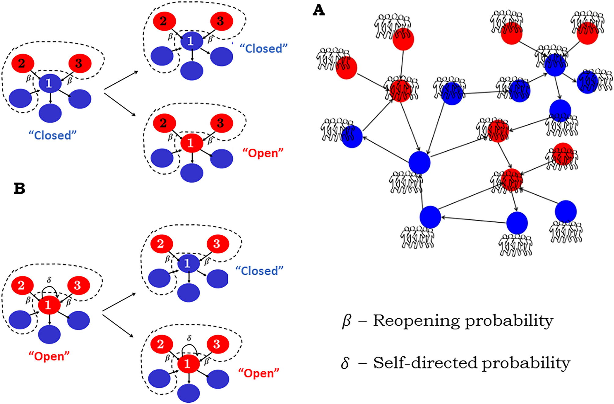 Dynamic properties