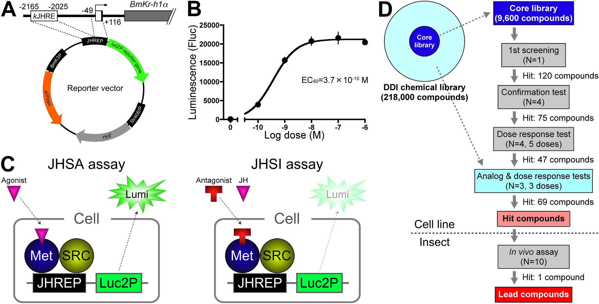 Identification of a juvenile-hormone signaling inhibitor via  high-throughput screening of a chemical library | Scientific Reports