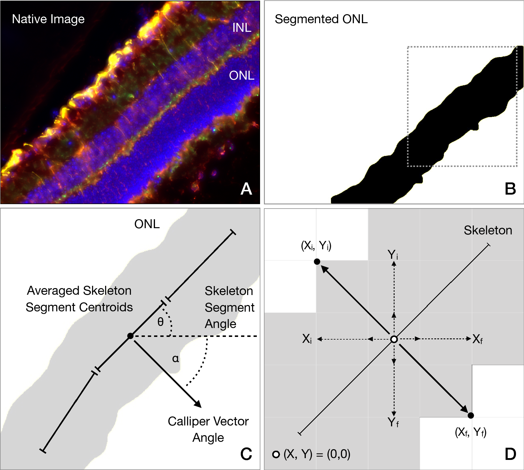 fiji imagej contour