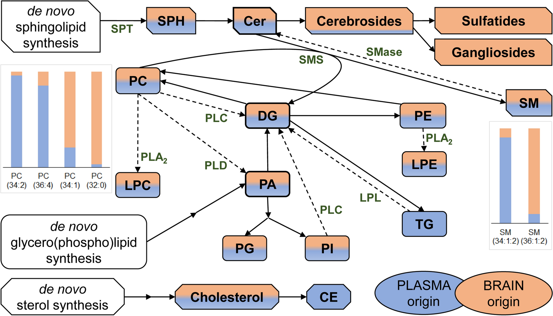 Cerebrospinal Fluid Lipidomic Biomarker Signatures Of Demyelination For Multiple Sclerosis And Guillain Barre Syndrome Scientific Reports