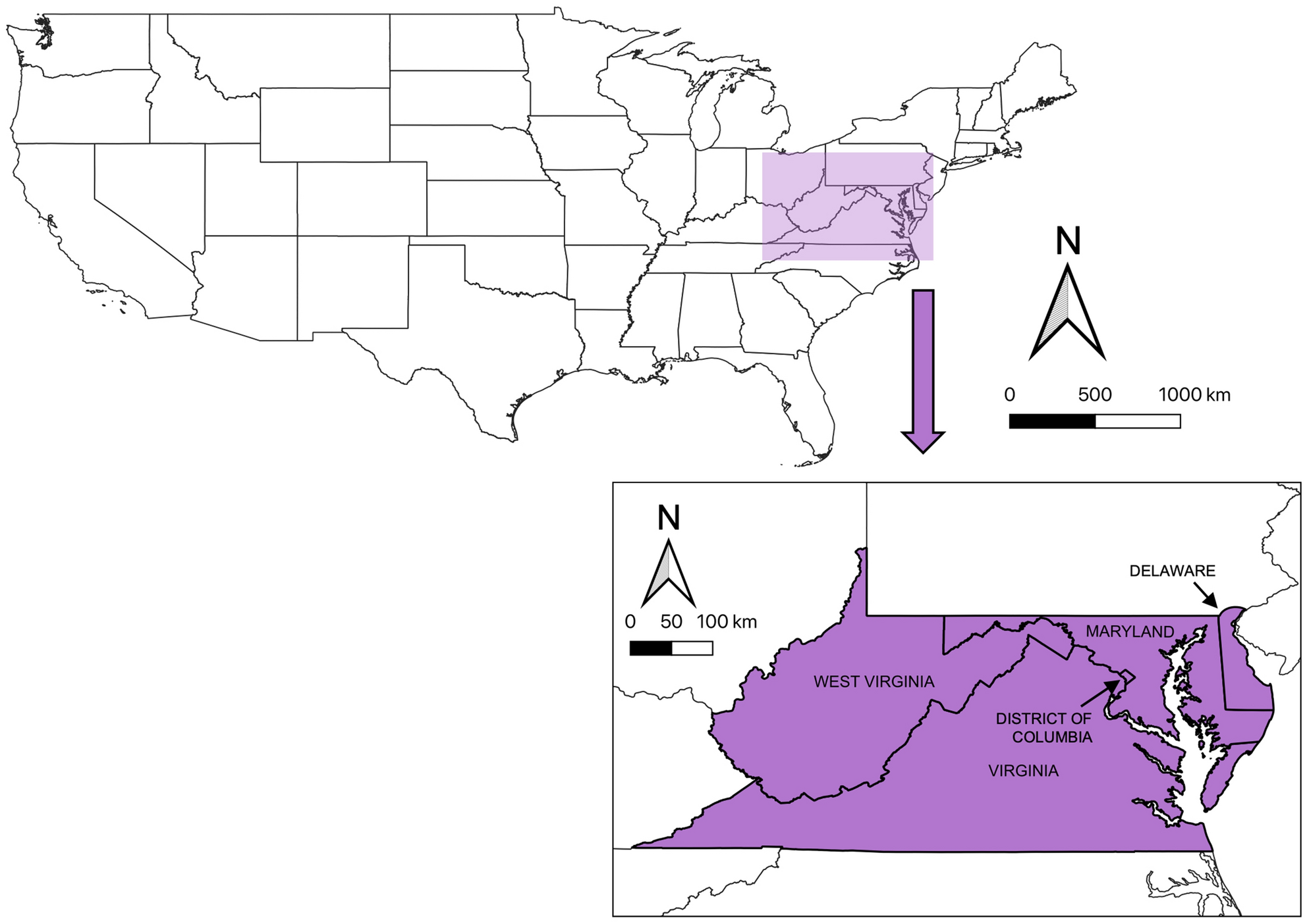 Decline of six native mason bee species following the arrival of an exotic  congener | Scientific Reports