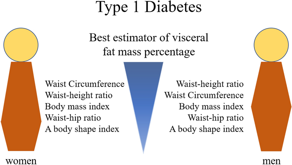Waist-height ratio and waist are the best estimators of visceral fat in  type 1 diabetes | Scientific Reports